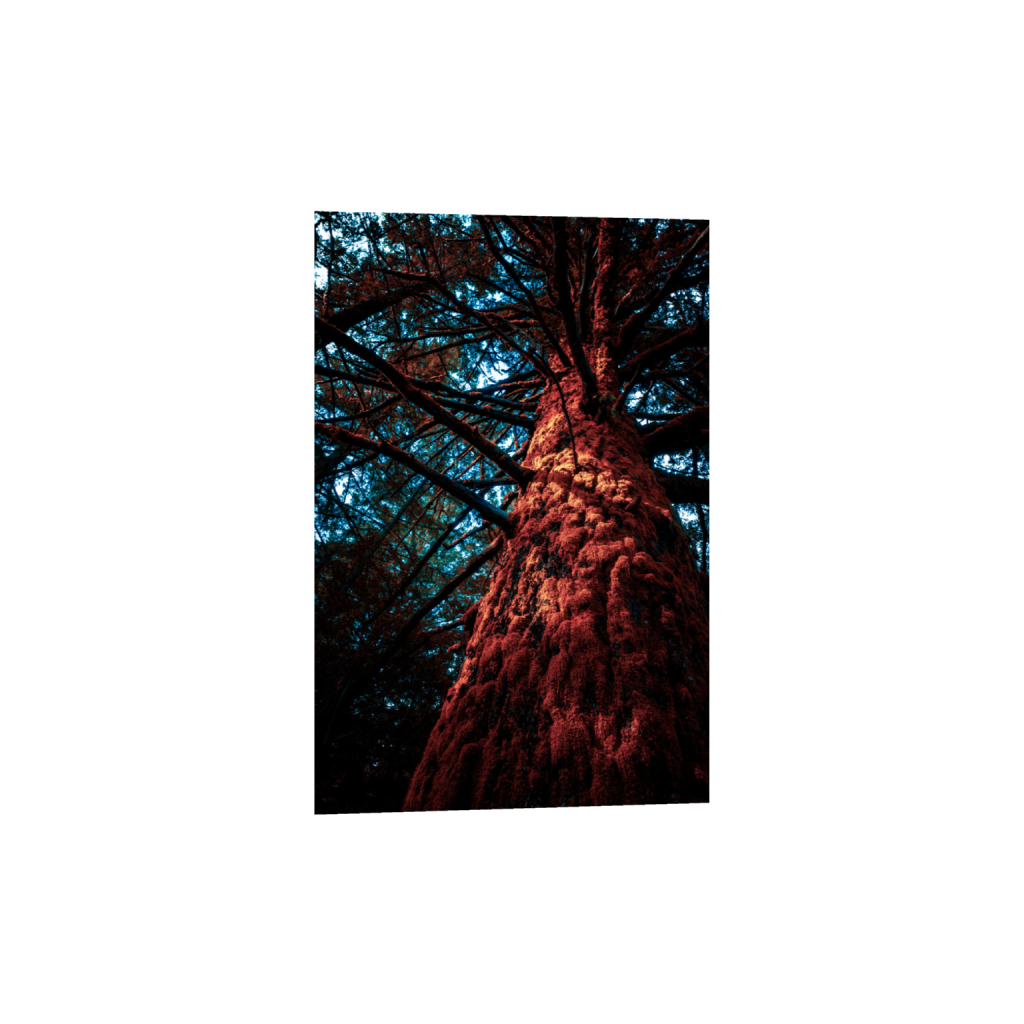 ptq_1_3_0_0_8000_12000_0_false_ffffff_0_0_.png