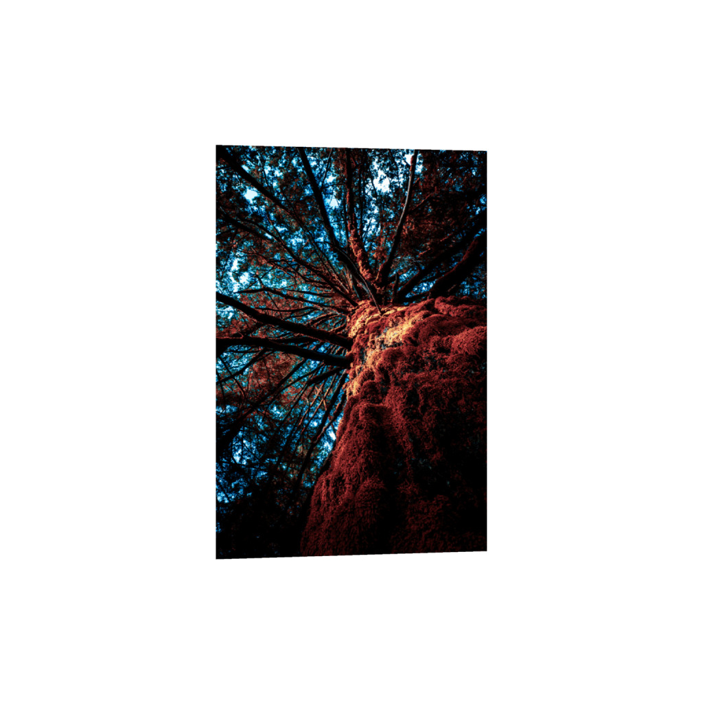 ptq_1_3_0_0_4000_6000_0_false_ffffff_0_0_.png