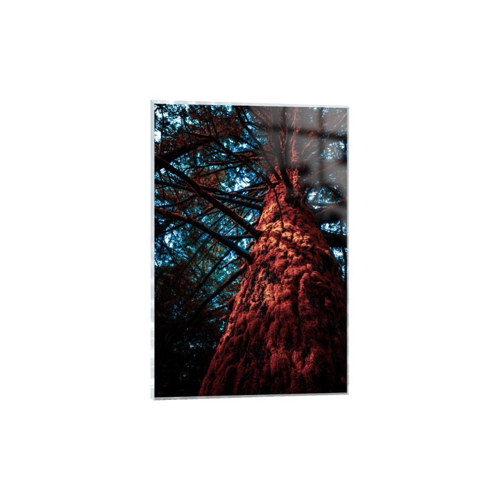 ptq_17_3_0_0_8000_12000_0_false_ffffff_0_0_.png