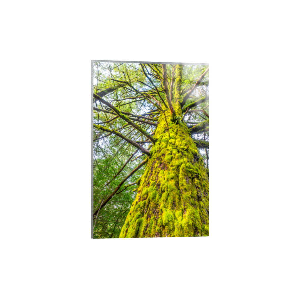 ptq_13_3_0_0_4000_6000_0_false_ffffff_0_0_.png