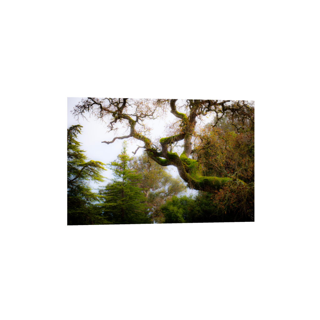 ptq_34_3_0_0_6000_4000_0_false_ffffff_0_0_.png