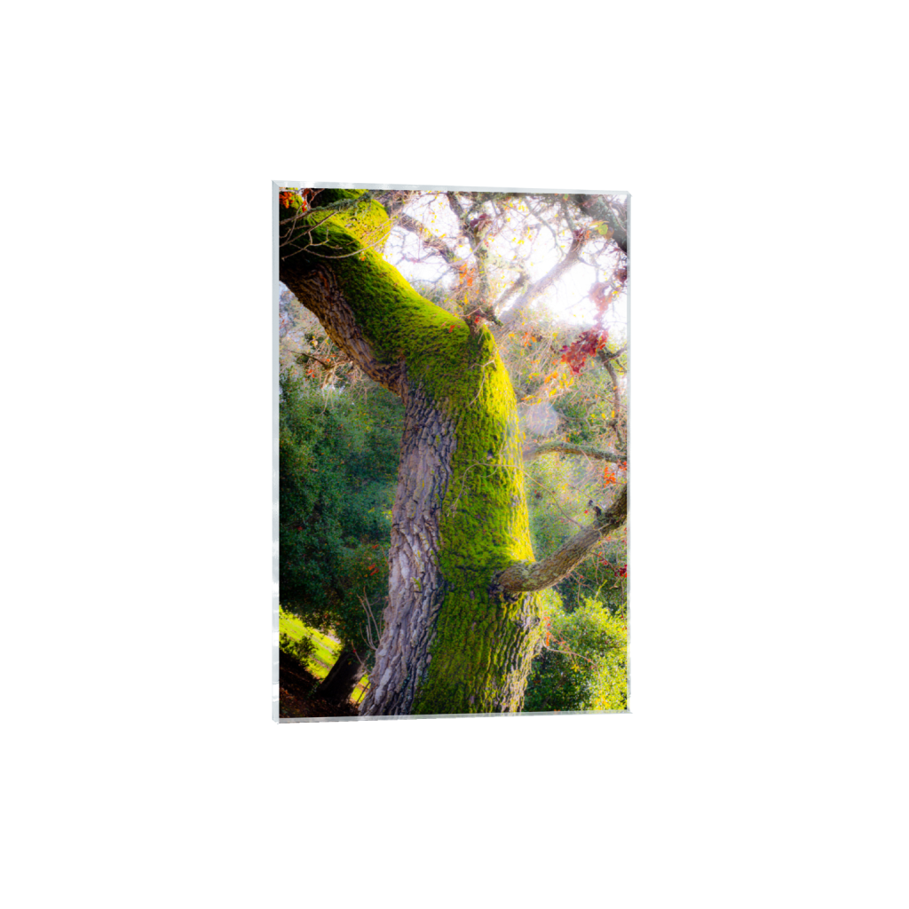 ptq_17_3_0_0_4000_6000_0_false_ffffff_0_0_.png