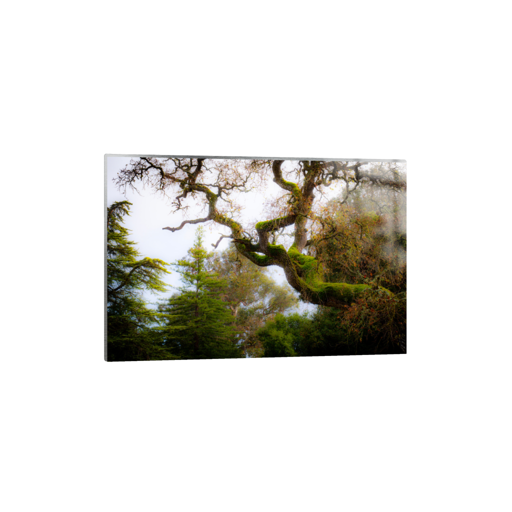 ptq_13_3_0_0_6000_4000_0_false_ffffff_0_0_.png