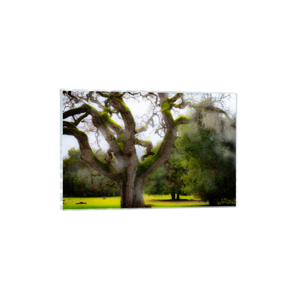 ptq_17_3_0_0_6000_4000_0_false_ffffff_0_0_.png