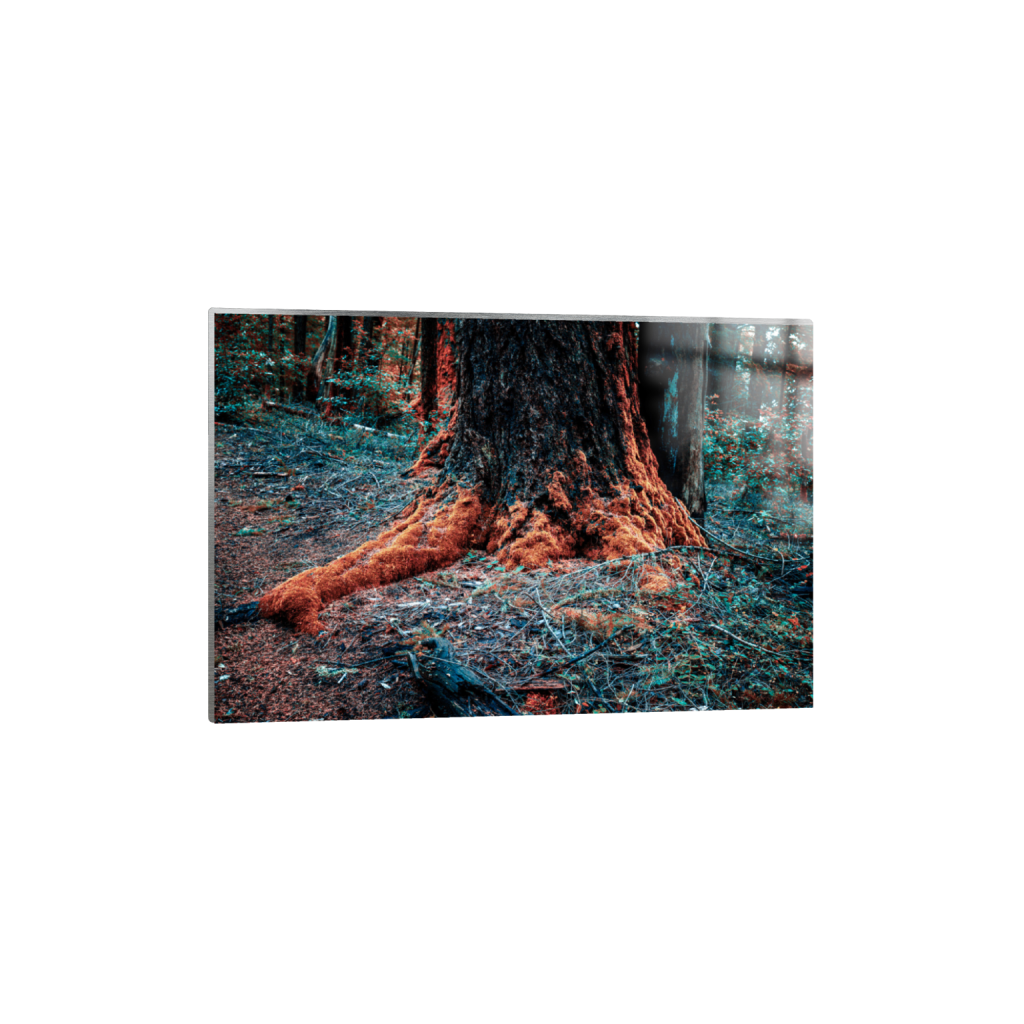 ptq_13_3_0_0_6000_4000_0_false_ffffff_0_0_.png
