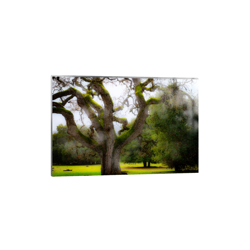 ptq_13_3_0_0_6000_4000_0_false_ffffff_0_0_.png