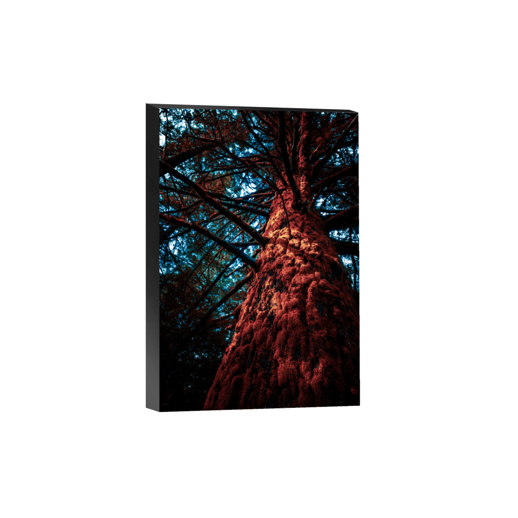 ptq_32_3_0_0_8000_12000_0_false_ffffff_0_0_.png