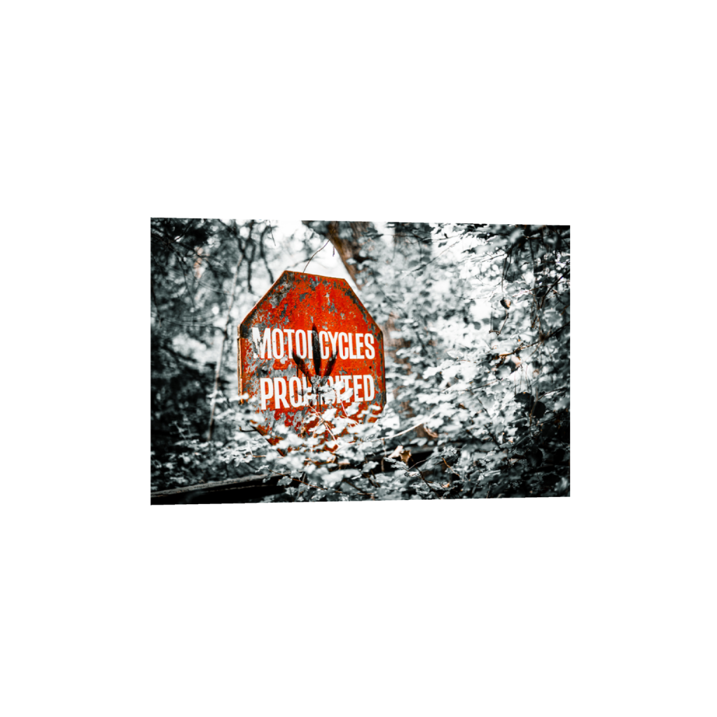 ptq_1_3_0_0_6000_4000_0_false_ffffff_0_0_.png