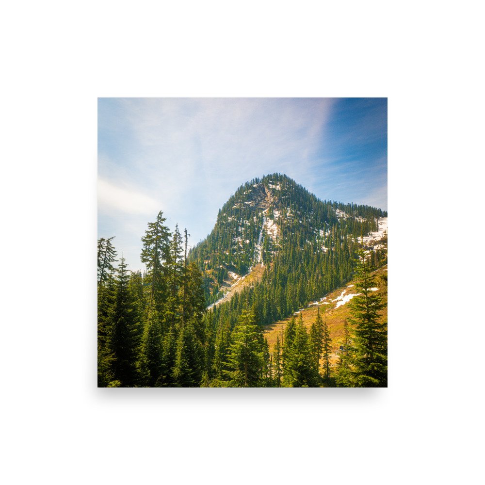 enhanced-matte-paper-poster-(in)-10x10-front-683560b3ccf2a.jpg