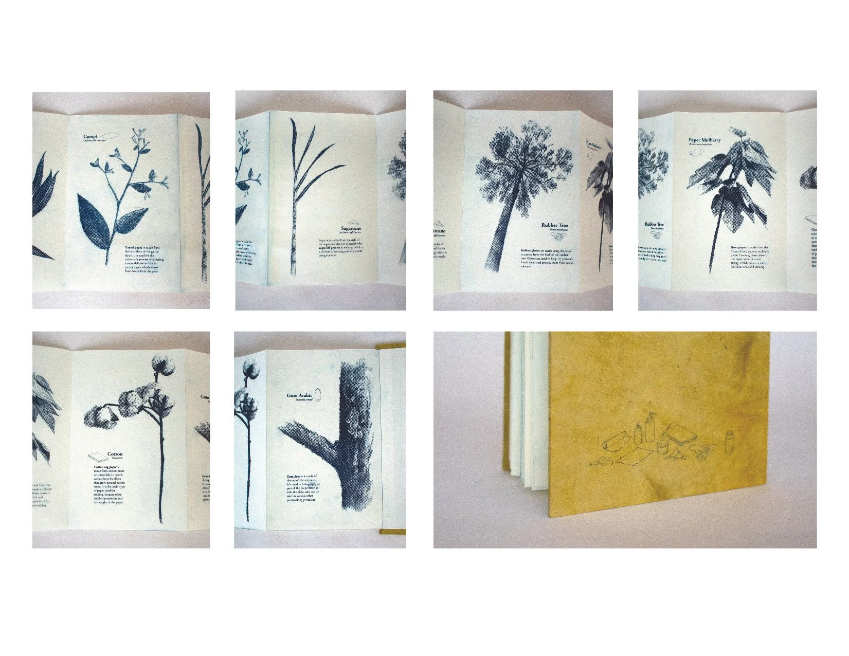 book-03.jpg