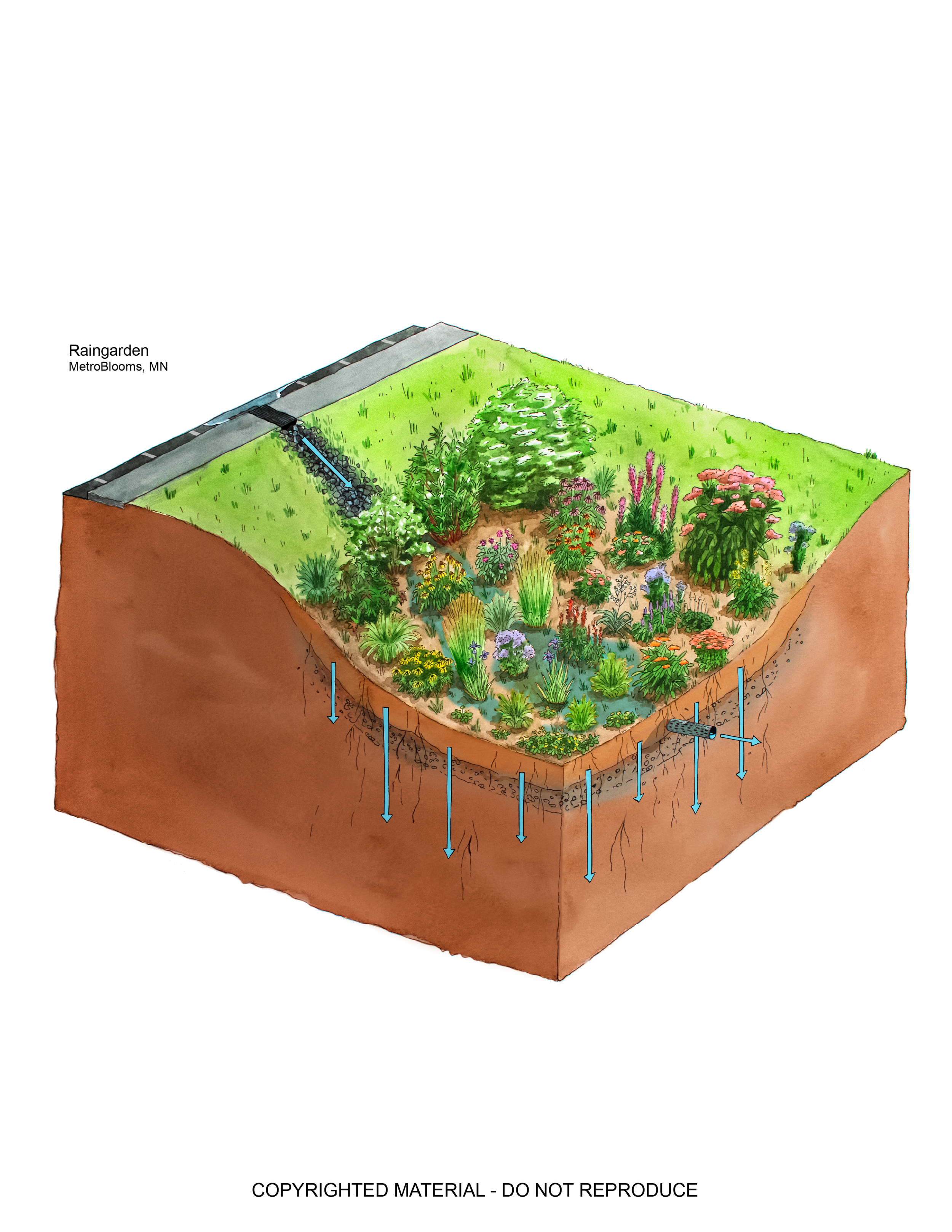 Wiebe Illustration Portfolio4-09.png