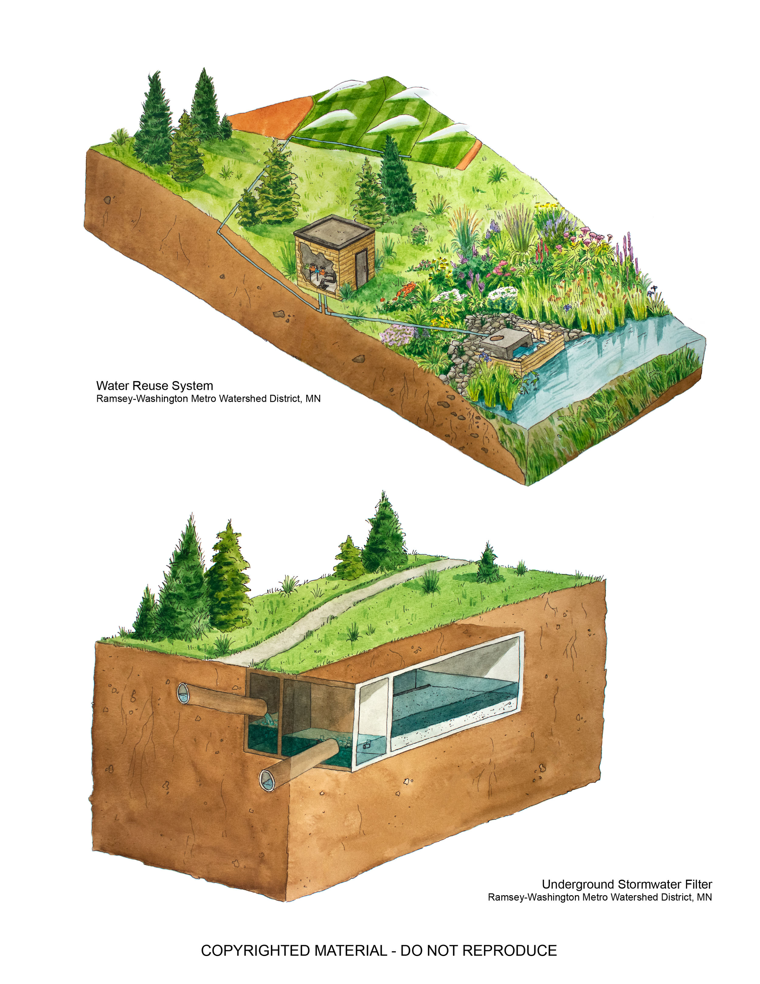 Wiebe Illustration Portfolio4-03.png