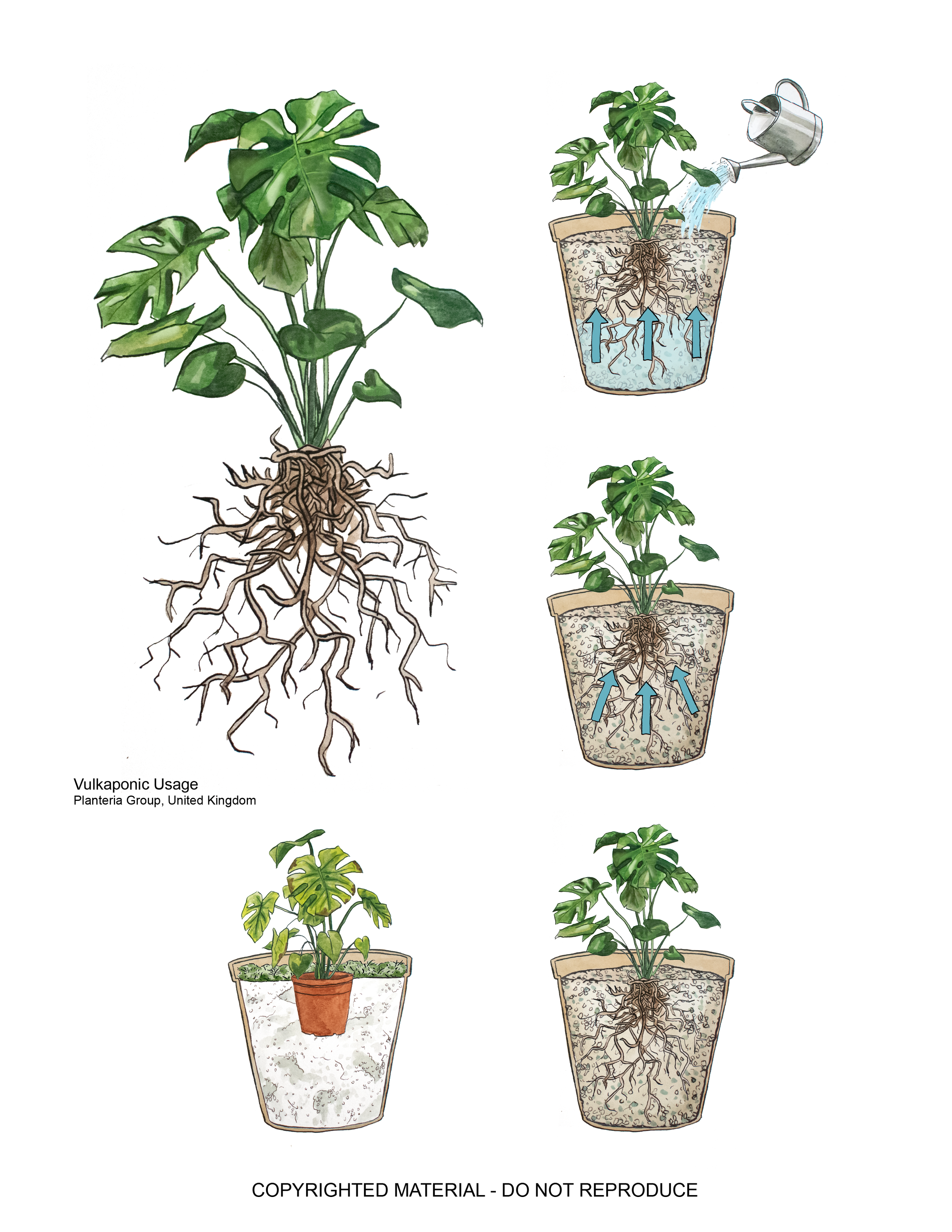 Wiebe Illustration Portfolio4-12.png