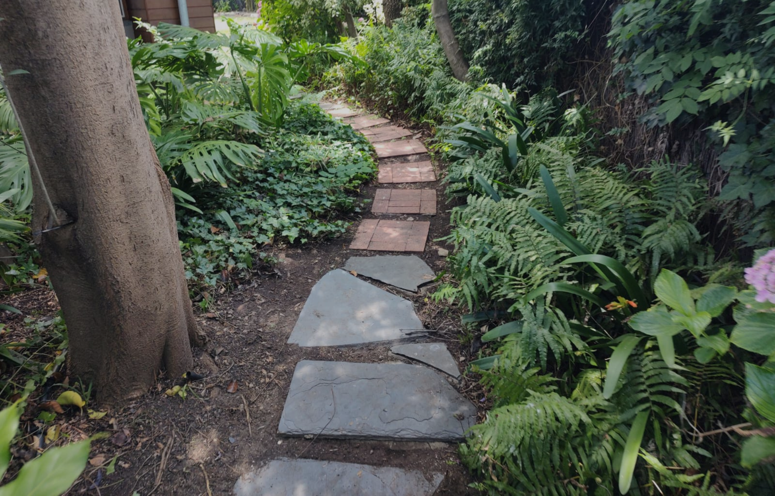 GREEN WORLD GARDENS (3000 x 1920 px)(2).png