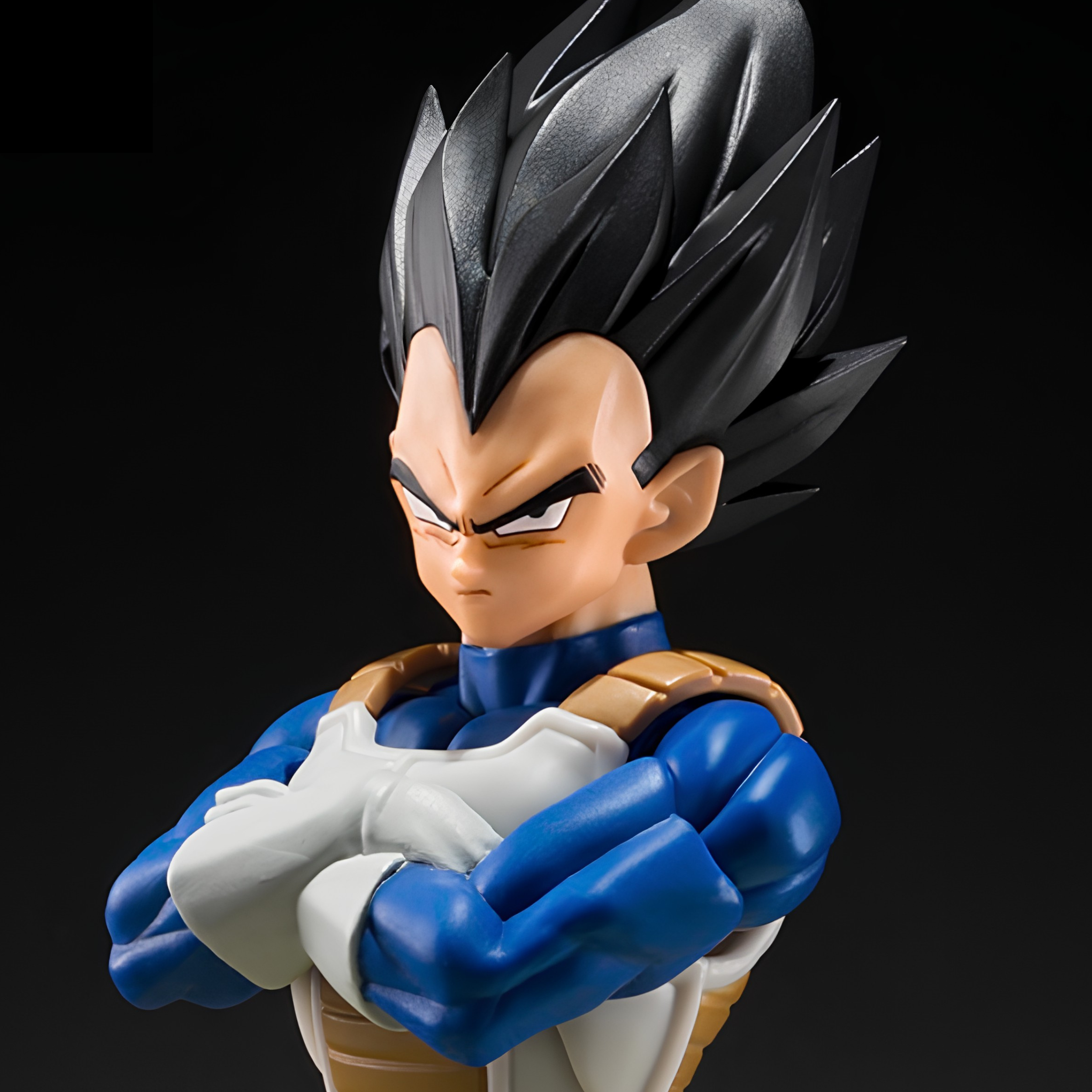 SH Figuarts Vegeta Z Fighters