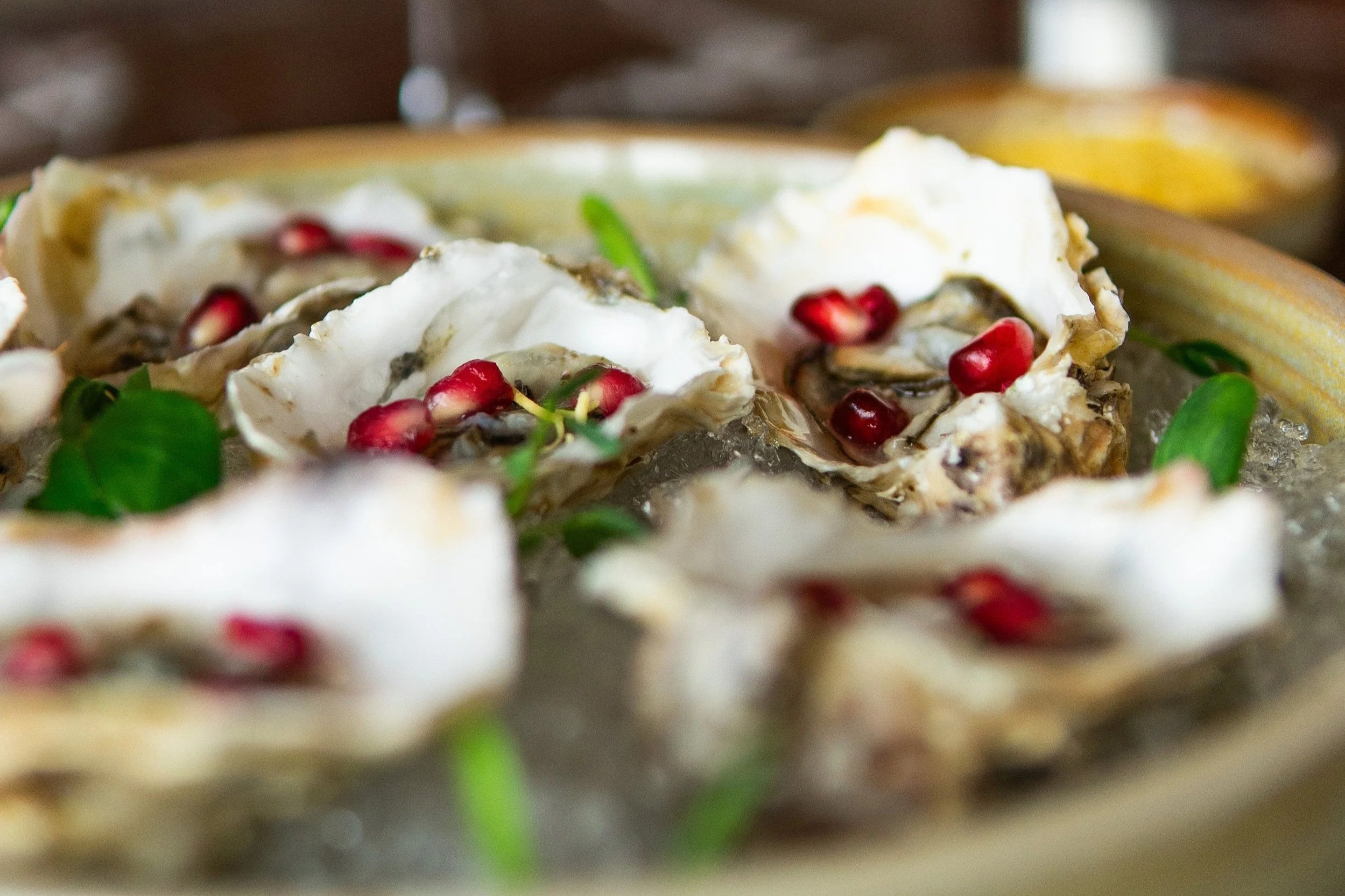 Close-up of a seafood dish with oysters on the half shell garnished with pomegranate seeds and green herbs.