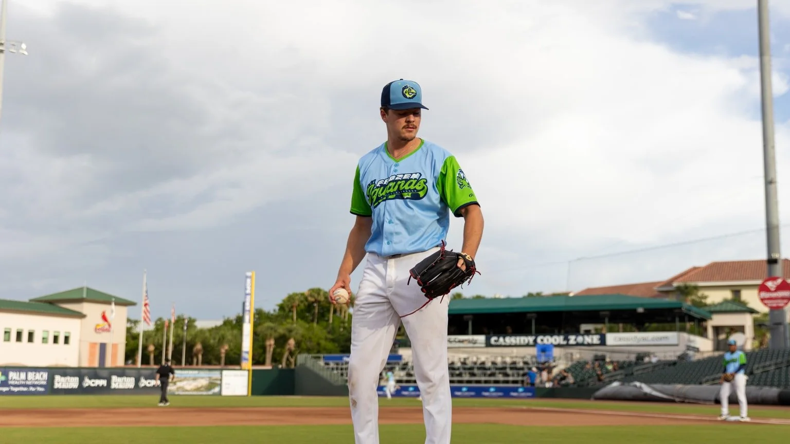 Want Swing-and-Miss? Look No Further Than the Beach Birds