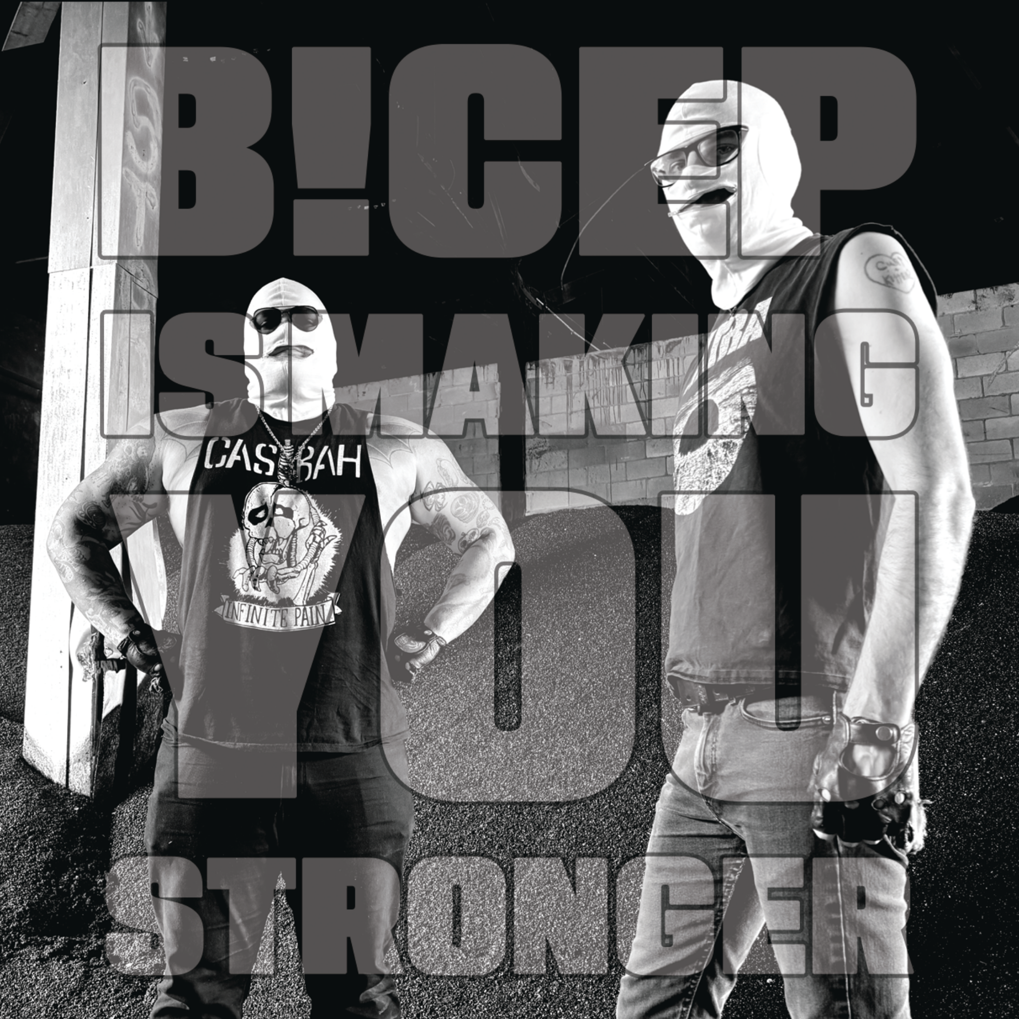 BICEPinsideCOVER.png