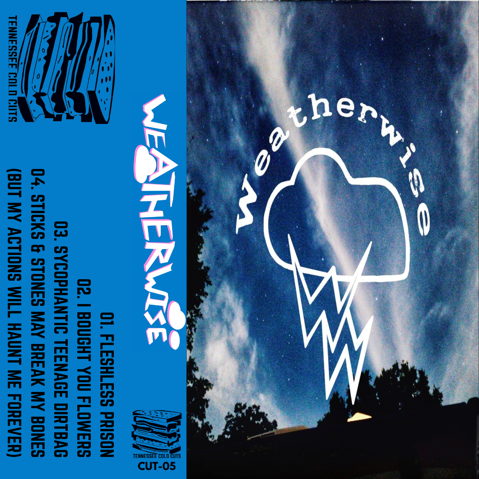 WEATHERWISEcover.png