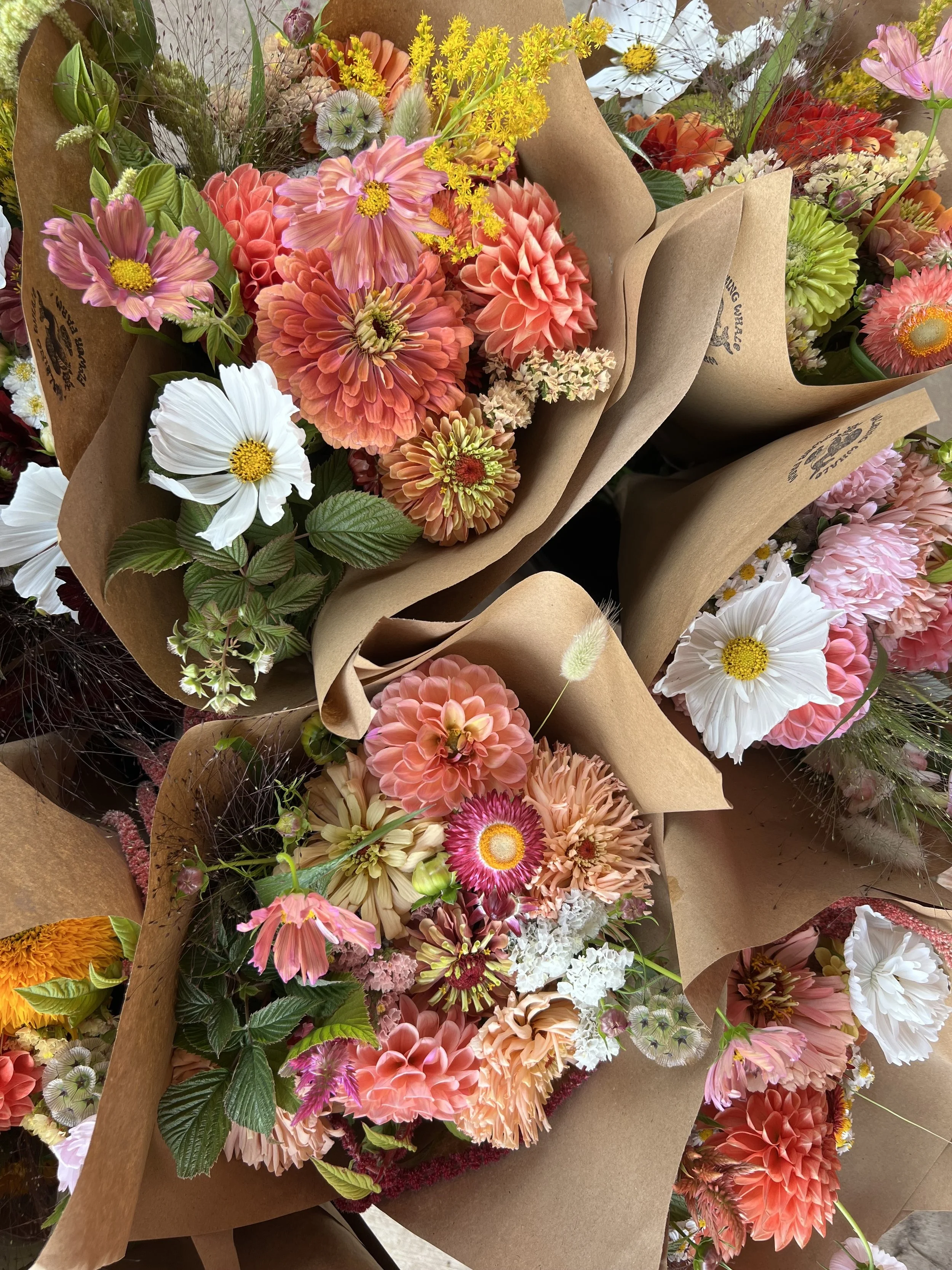 Sip and Arrange Workshop 8/30