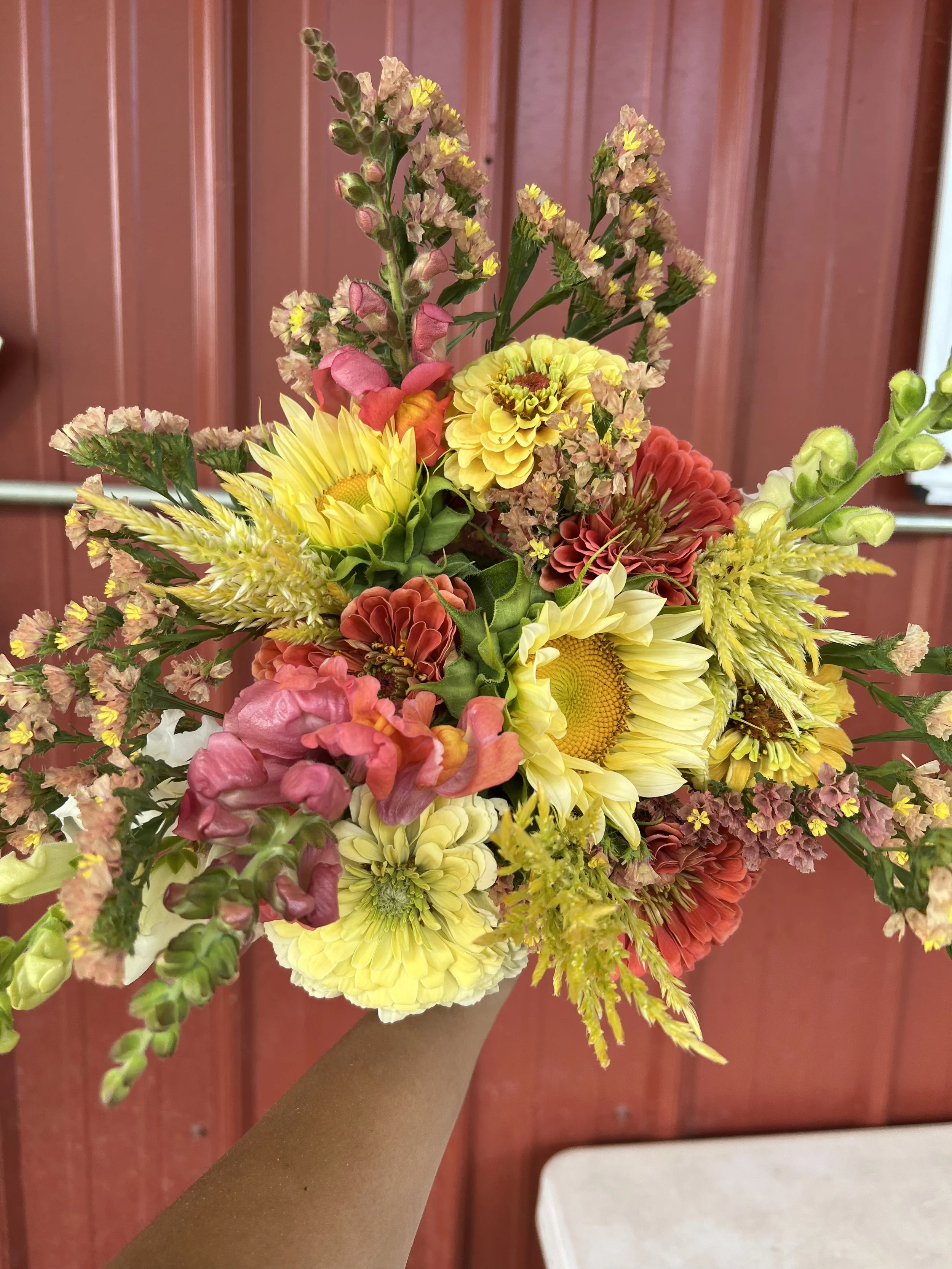 Summer CSA (6 weeks)