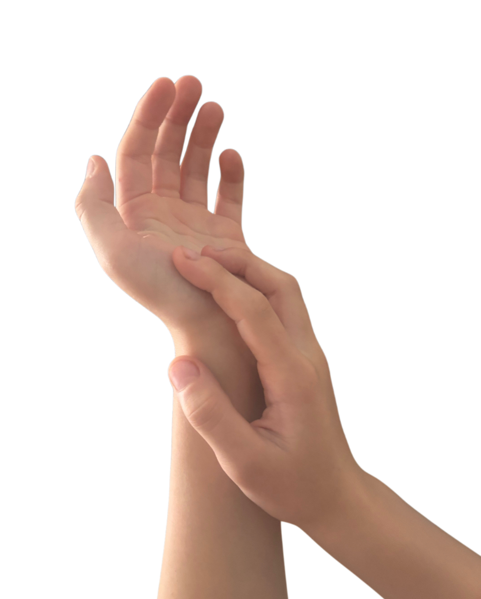 Zophia Hand Model.png