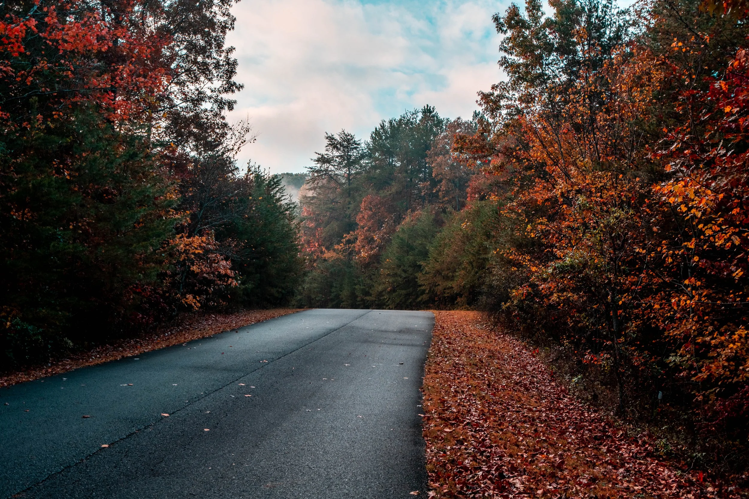 DSC09991-HDR.jpg