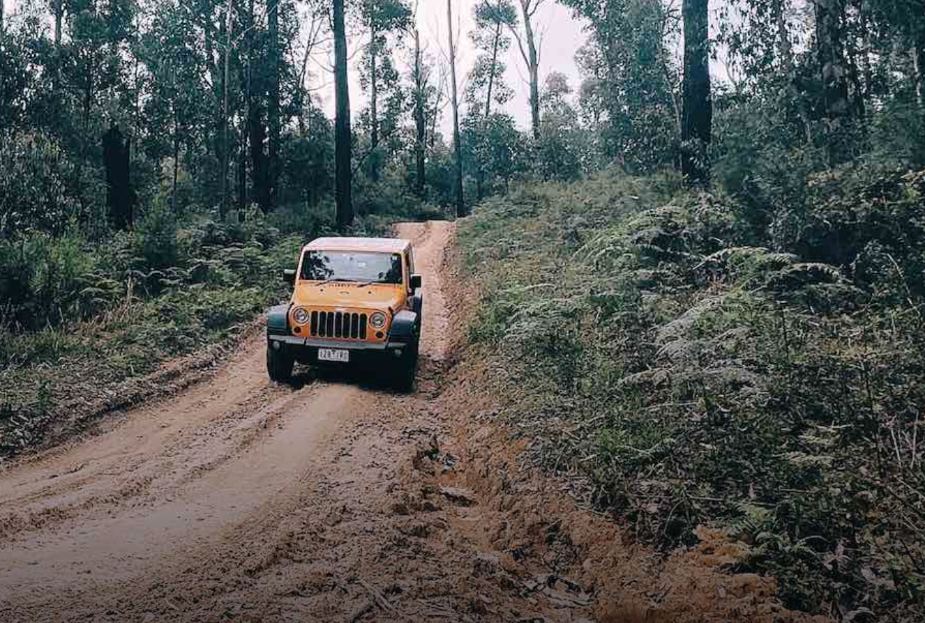 9 Best 4WD Tracks Victoria