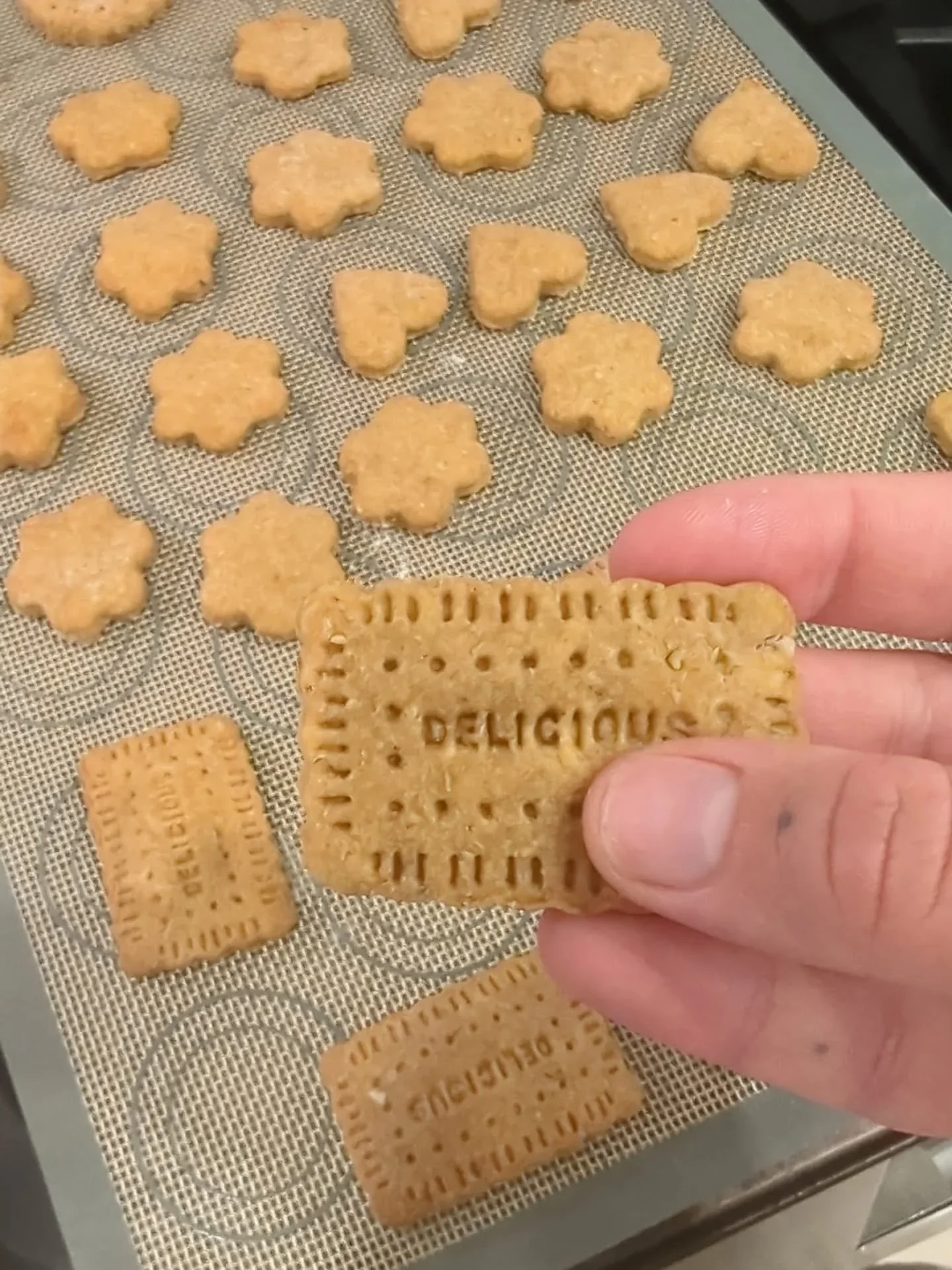 🍪🐶 Dog cookies 🐶🍪

Freshly baked, Frankie approved.

#dogcookies #homemade