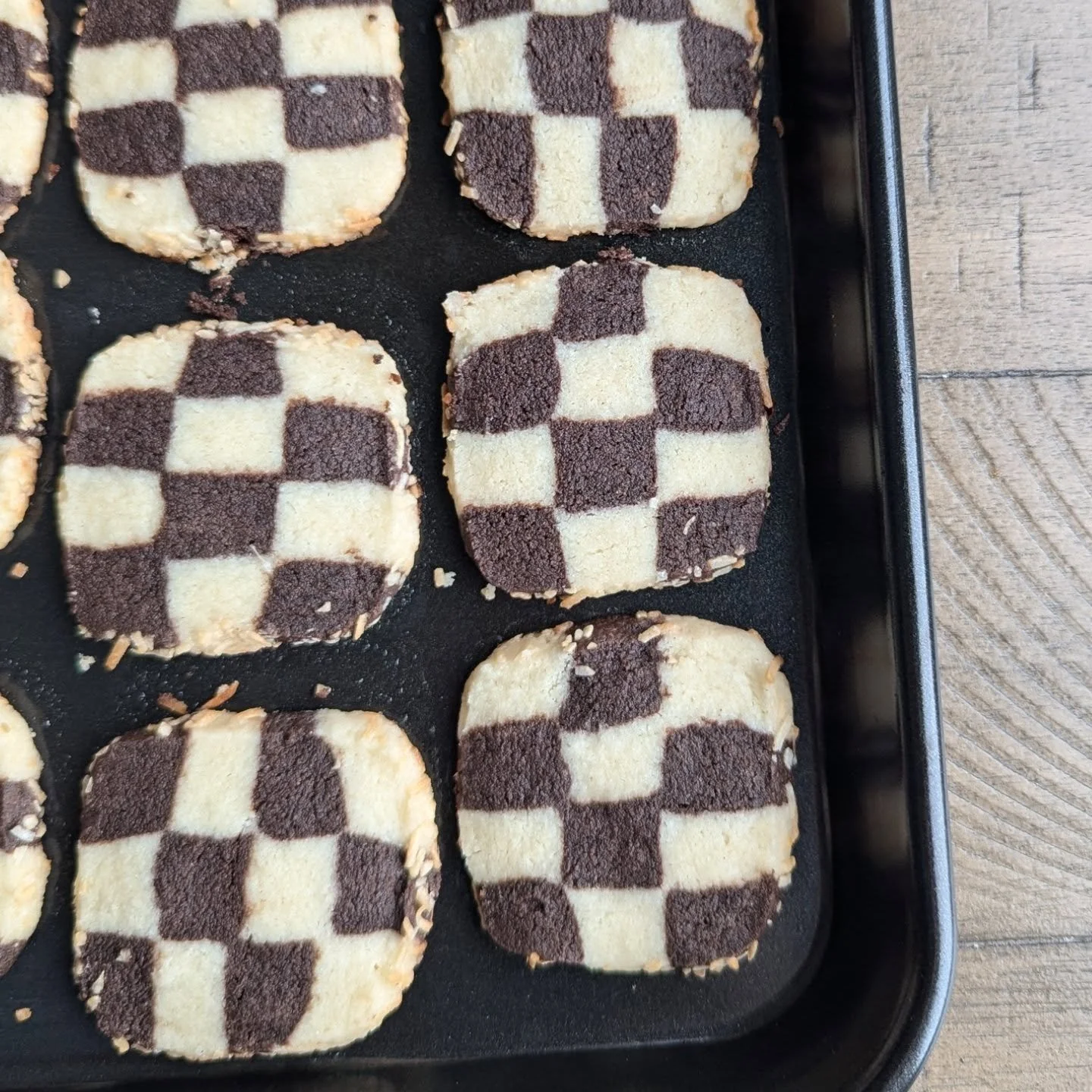 Gluten-free, dairy-free chocolate vanilla checkerboard cookies rolled in coconut 🥥🏁🍪🤎