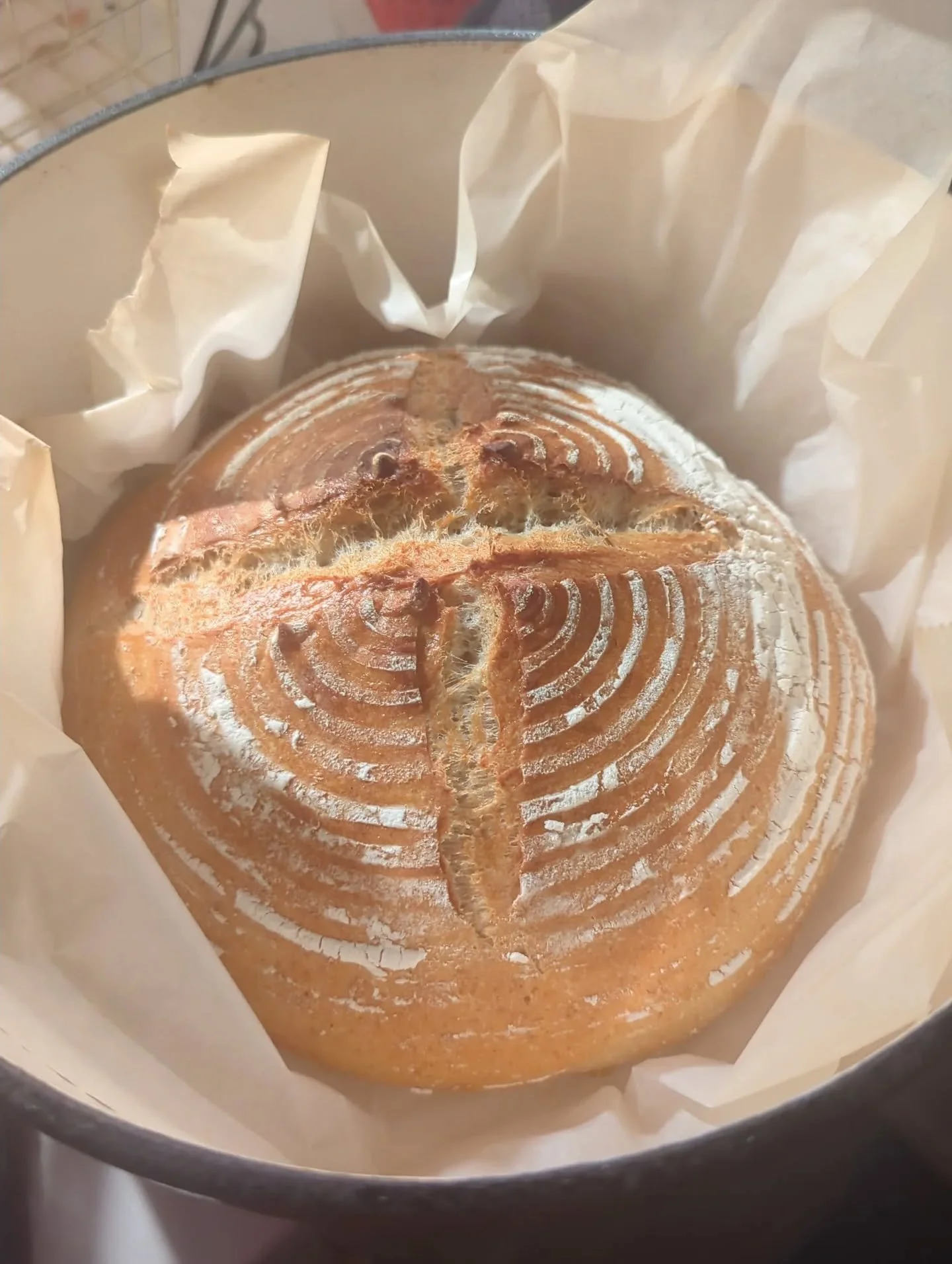 🍞🍞🍞cozy bread🥖🥖🥖