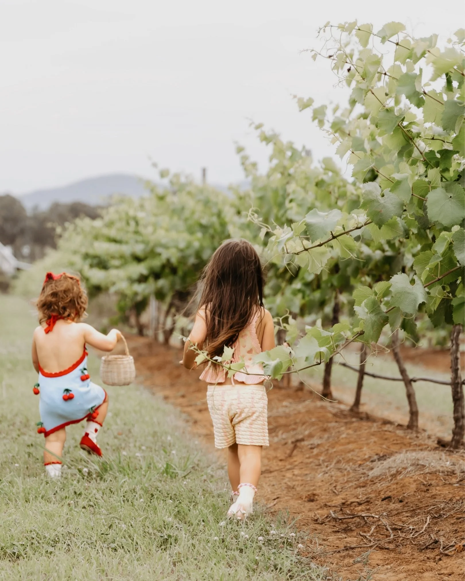 Two young girls, one with long brown hair and the other with curly red hair, walking through a vineyard on a cloudy day. The girl with red hair is wearing a sleeveless blue dress with strawberries on it and carrying a basket, while the other girl is 