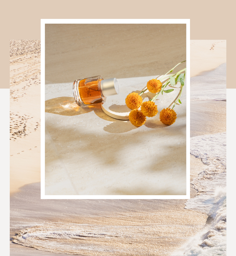 Home-Top-Slider-04.png