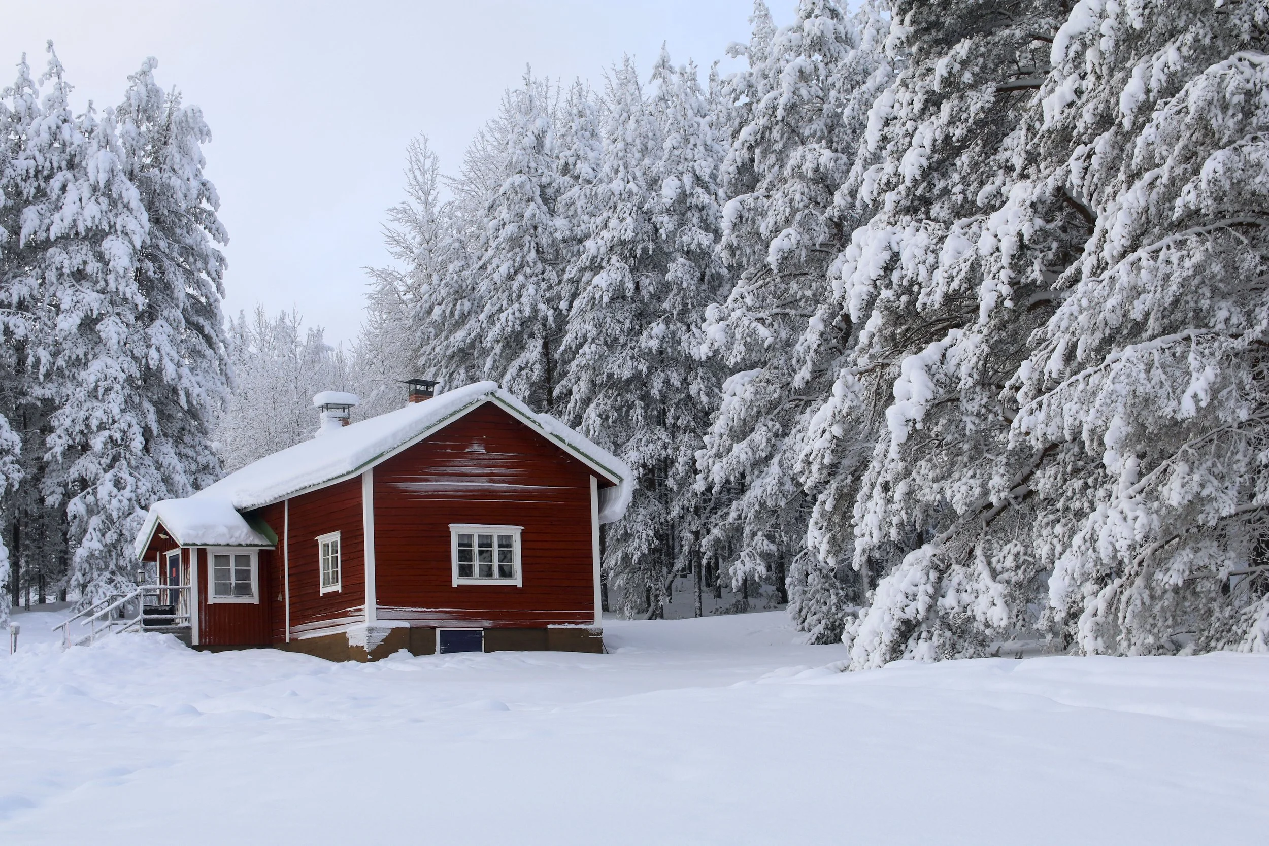 Pihapiiri sijaitsee mäntykankaan vieressä. (Kuva: Liisa Kuittinen)