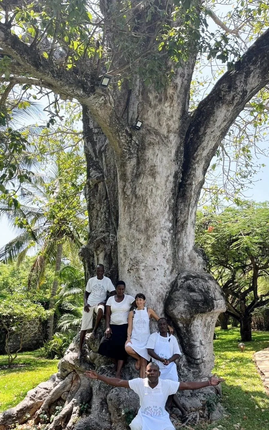 Retorno a lo Esencial Kenia - Retiro y vacaciones de nutrición y bienestar 2026.