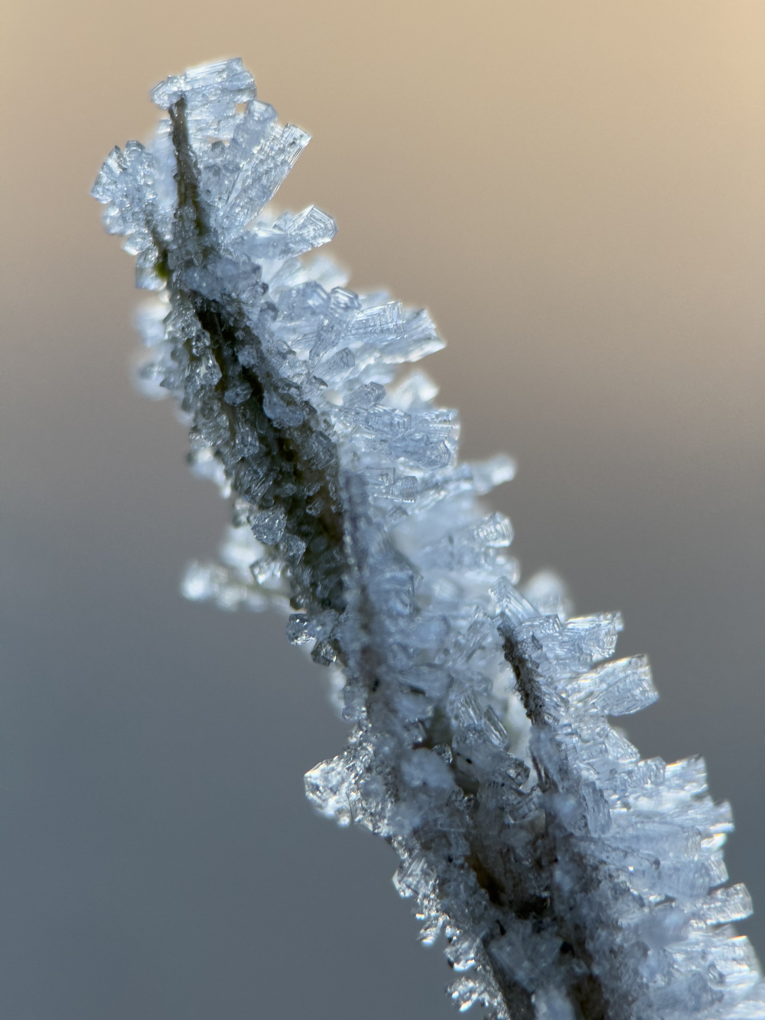 Eiskalte Magie im Morgenlicht: Eine winterliche Fototour durch den gefrorenen Wald