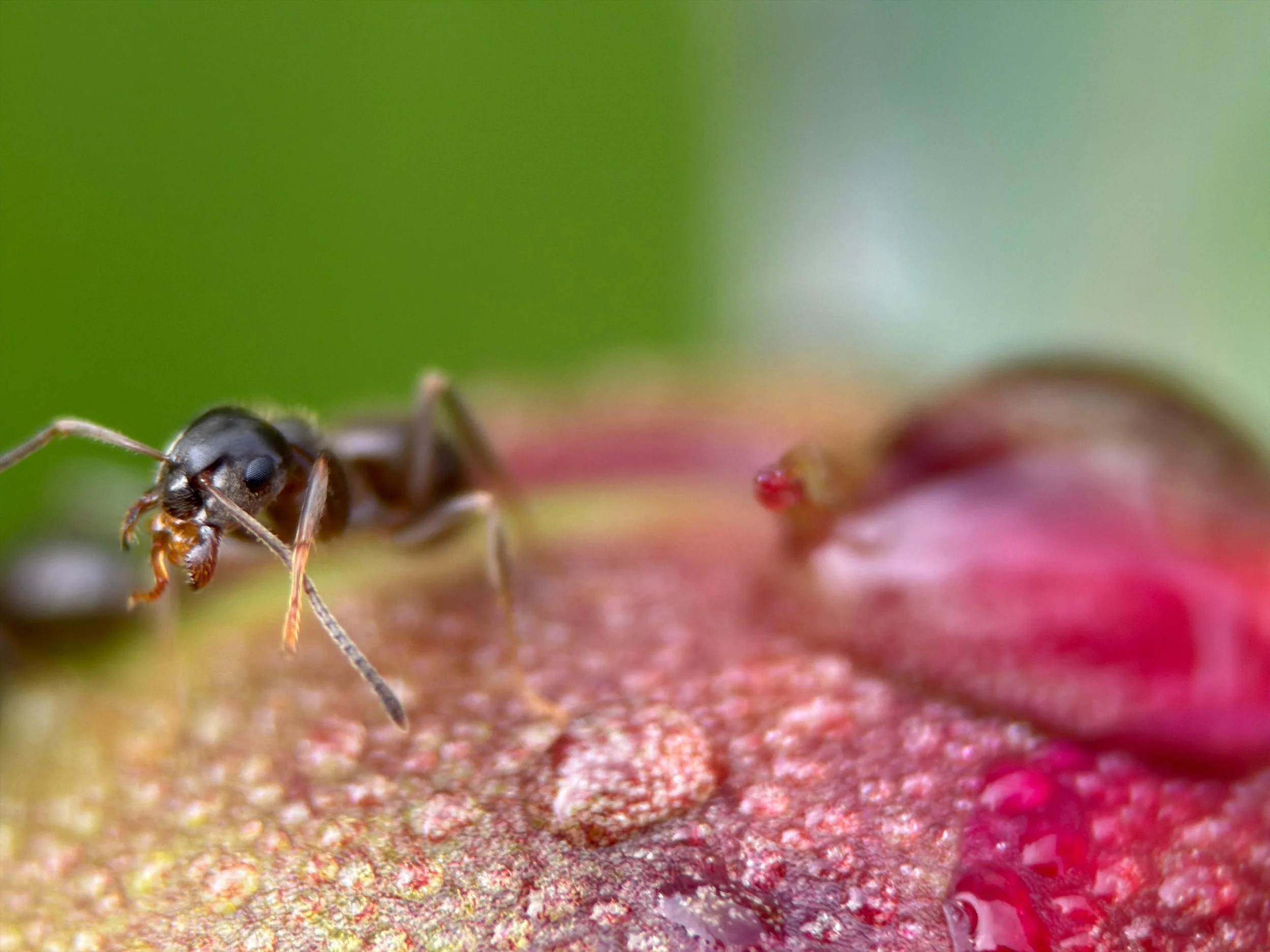 de063b66-bea8-45d1-9a2b-8486d22564f4.jpg