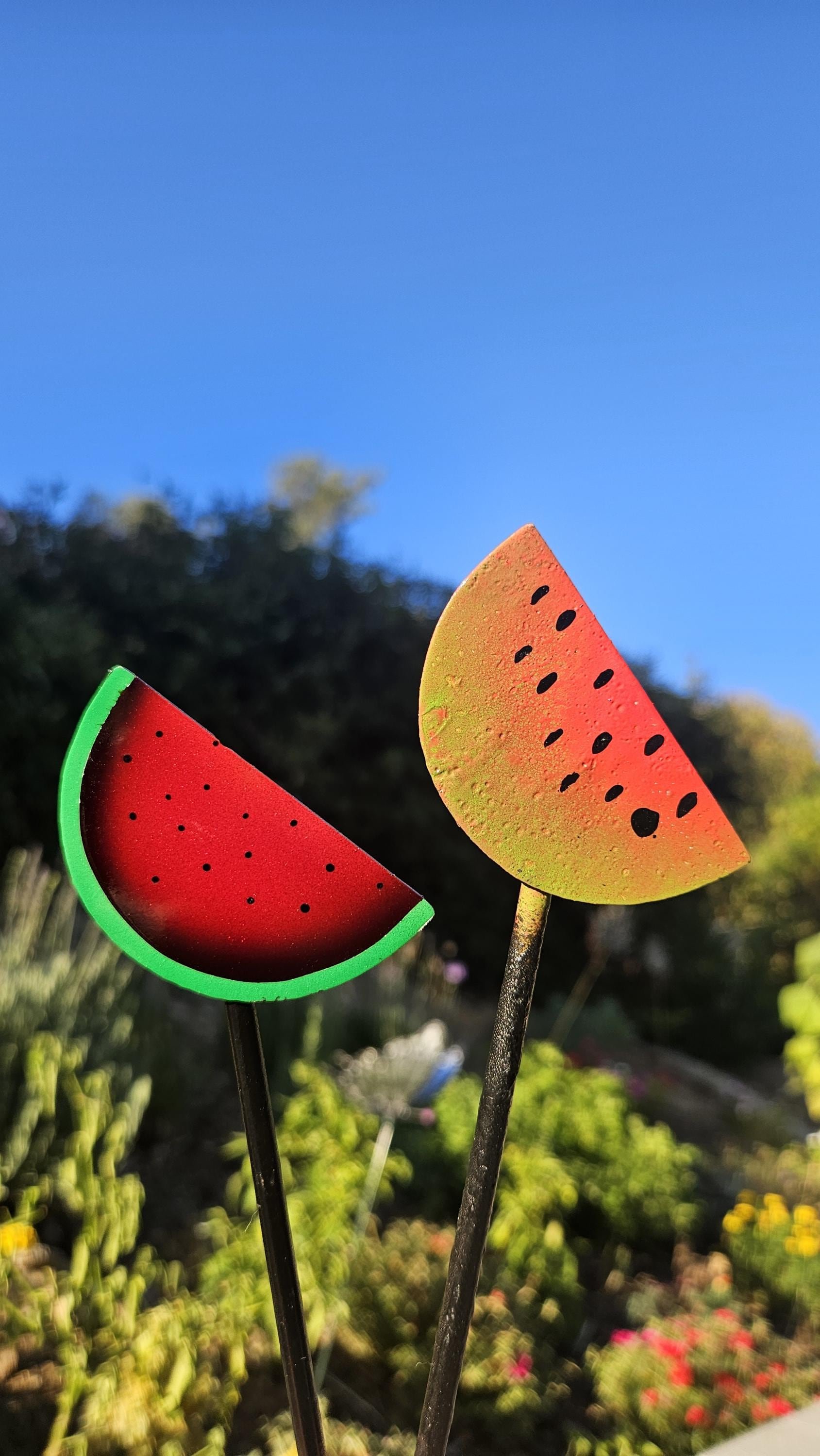 https://i.etsystatic.com/49842130/r/il/73c652/6241695162/il_fullxfull.6241695162_nee4.jpg