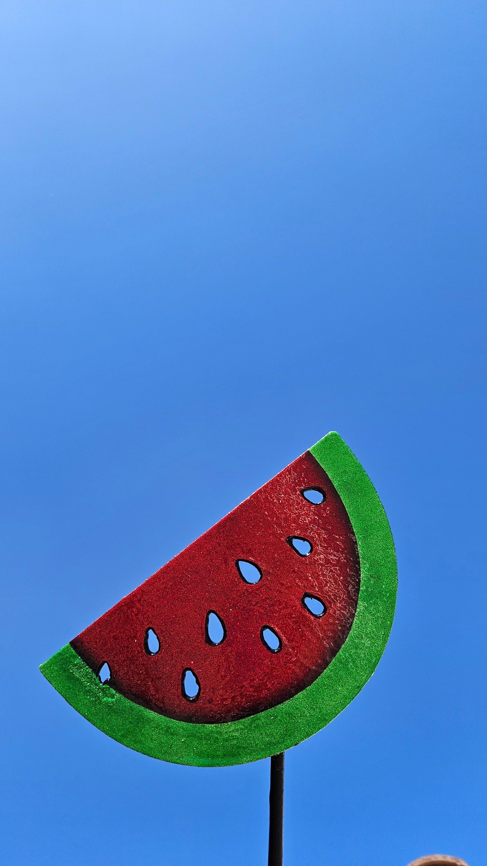 https://i.etsystatic.com/49842130/r/il/d19267/6122024828/il_fullxfull.6122024828_7t8j.jpg