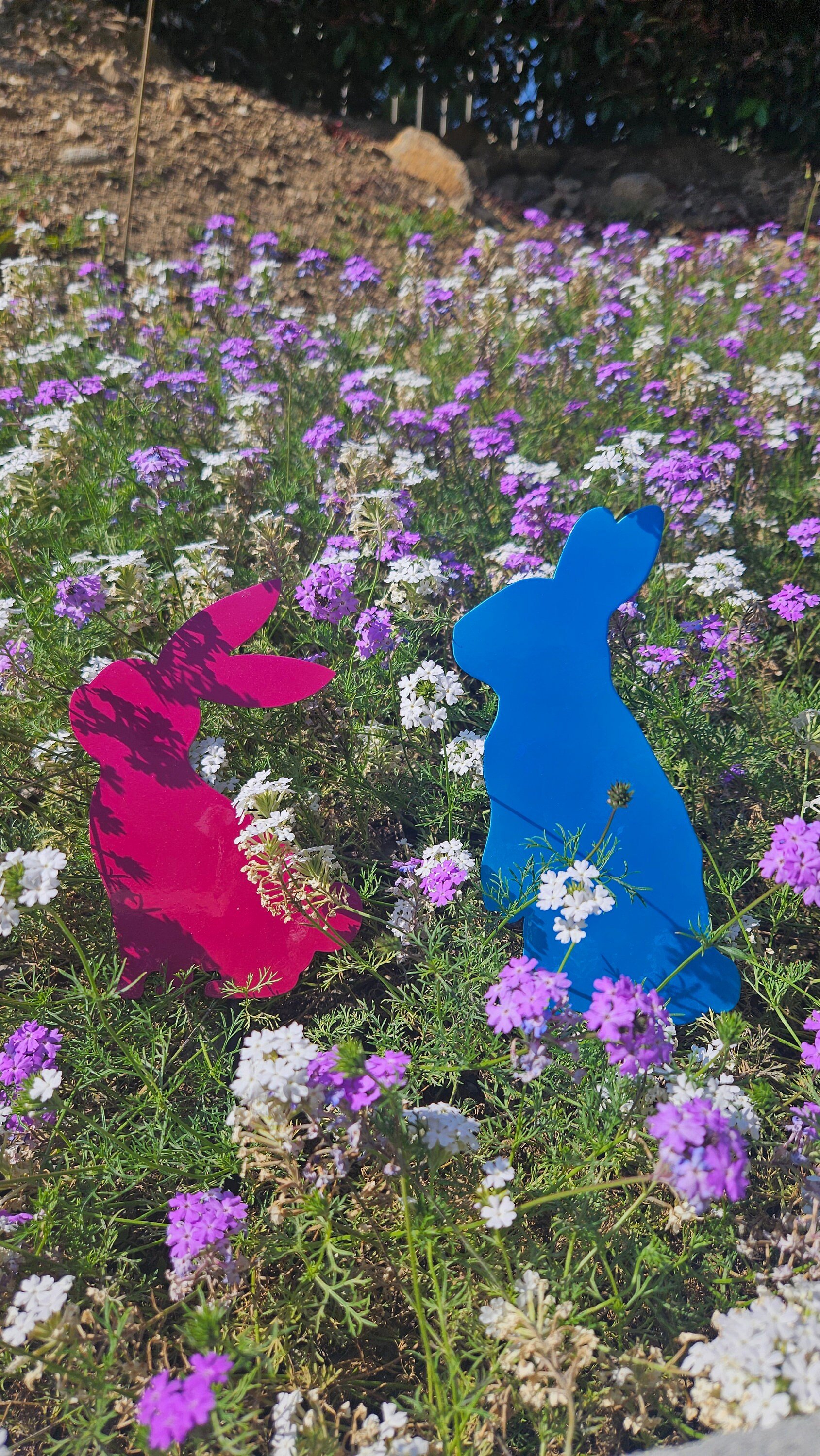 https://i.etsystatic.com/49842130/r/il/edafd0/6075535037/il_fullxfull.6075535037_dg70.jpg