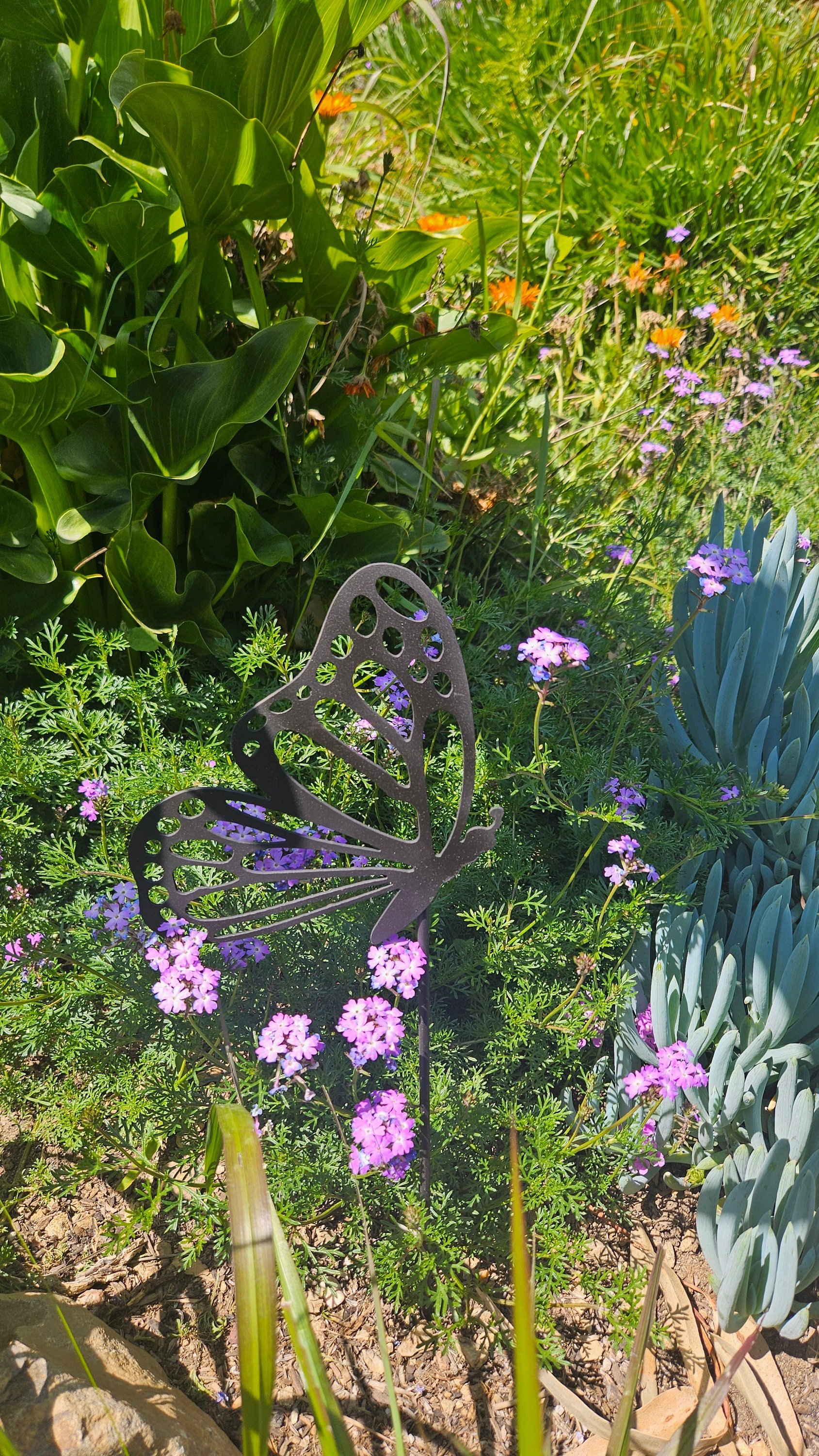 https://i.etsystatic.com/49842130/r/il/3092e7/5941395222/il_fullxfull.5941395222_mn07.jpg