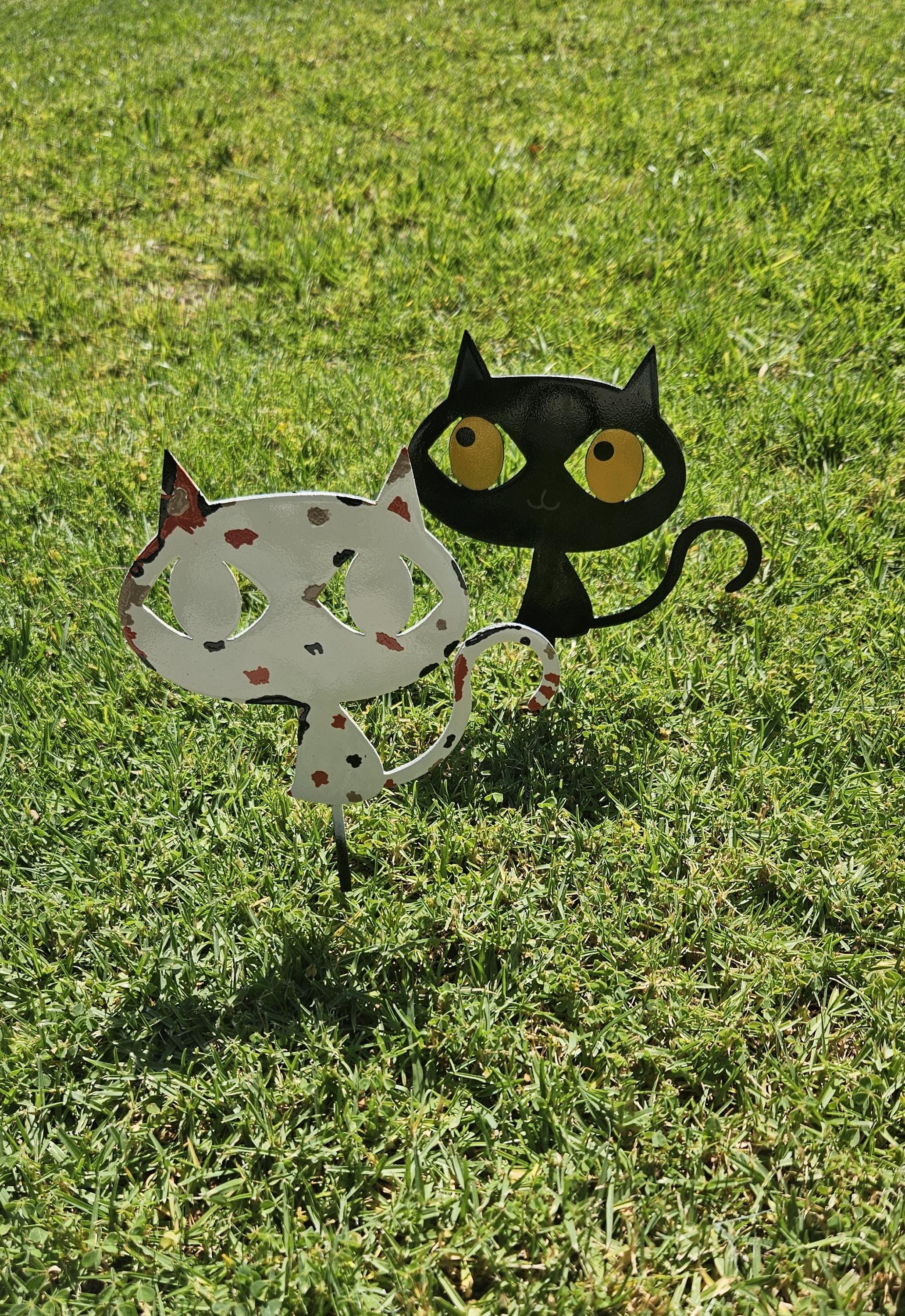 https://i.etsystatic.com/49842130/r/il/f4667b/6291698095/il_fullxfull.6291698095_c1td.jpg