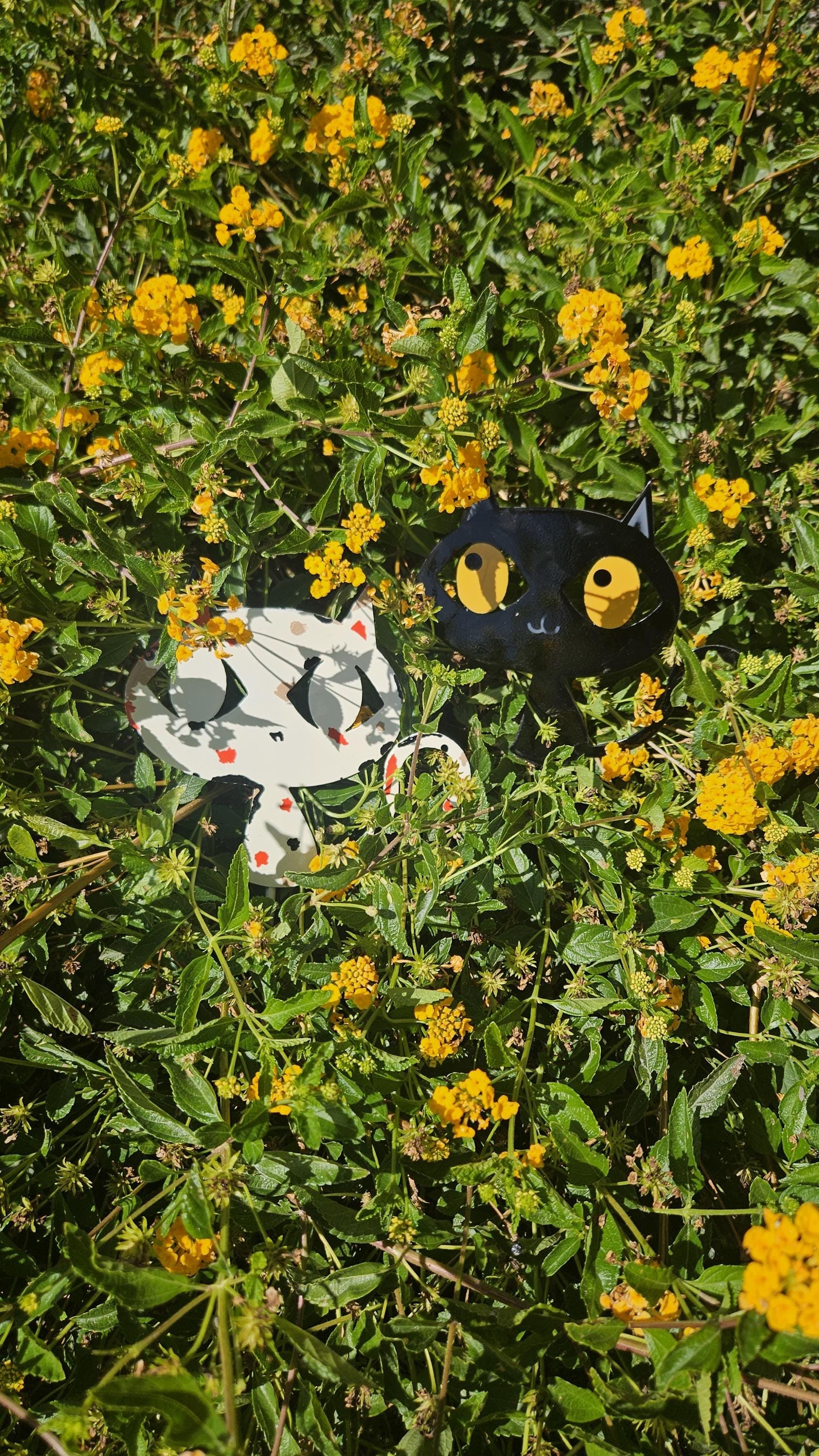 https://i.etsystatic.com/49842130/r/il/518123/6243648890/il_fullxfull.6243648890_gp5e.jpg