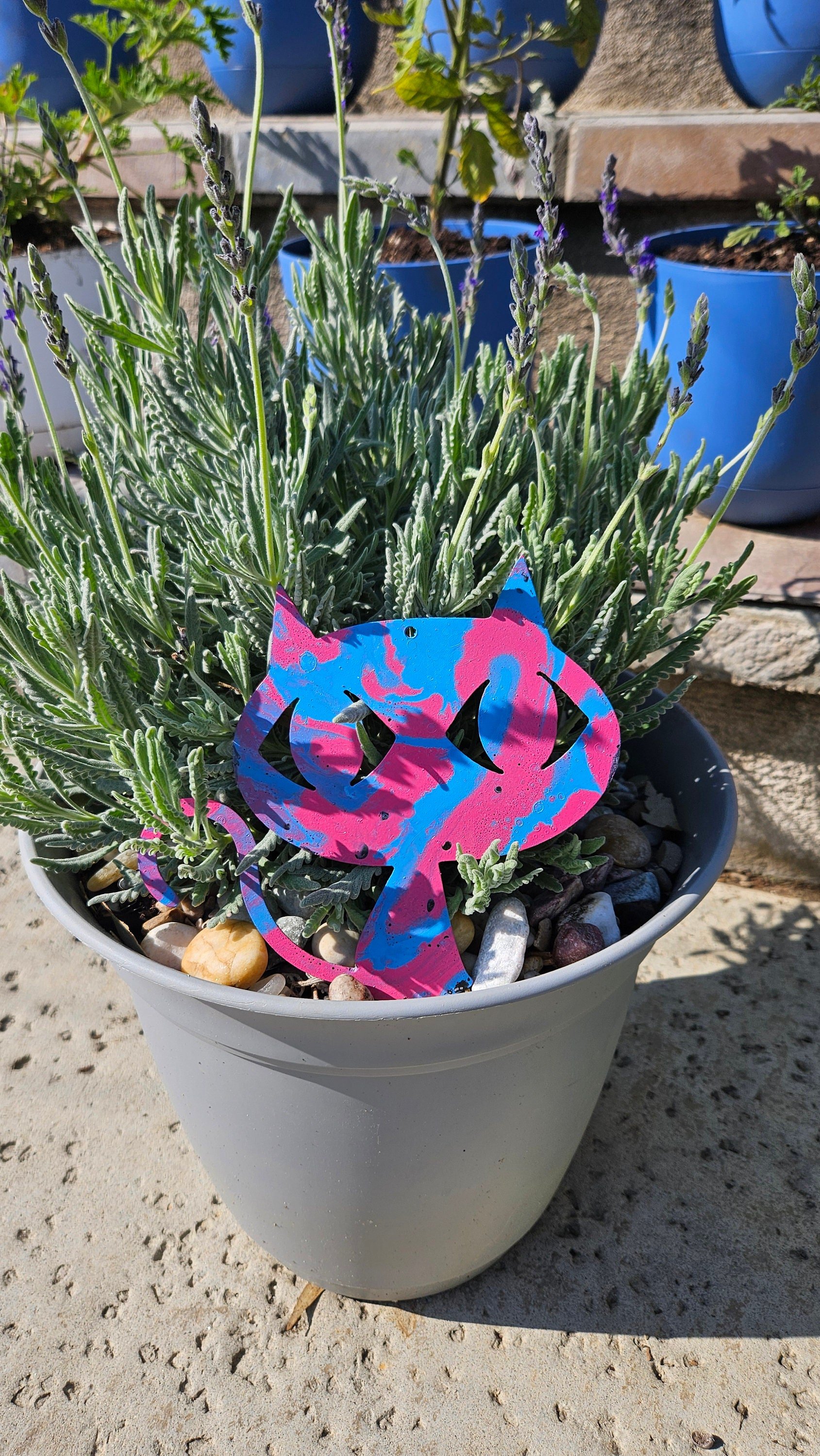 https://i.etsystatic.com/49842130/r/il/fa1a1c/5930228926/il_fullxfull.5930228926_r292.jpg