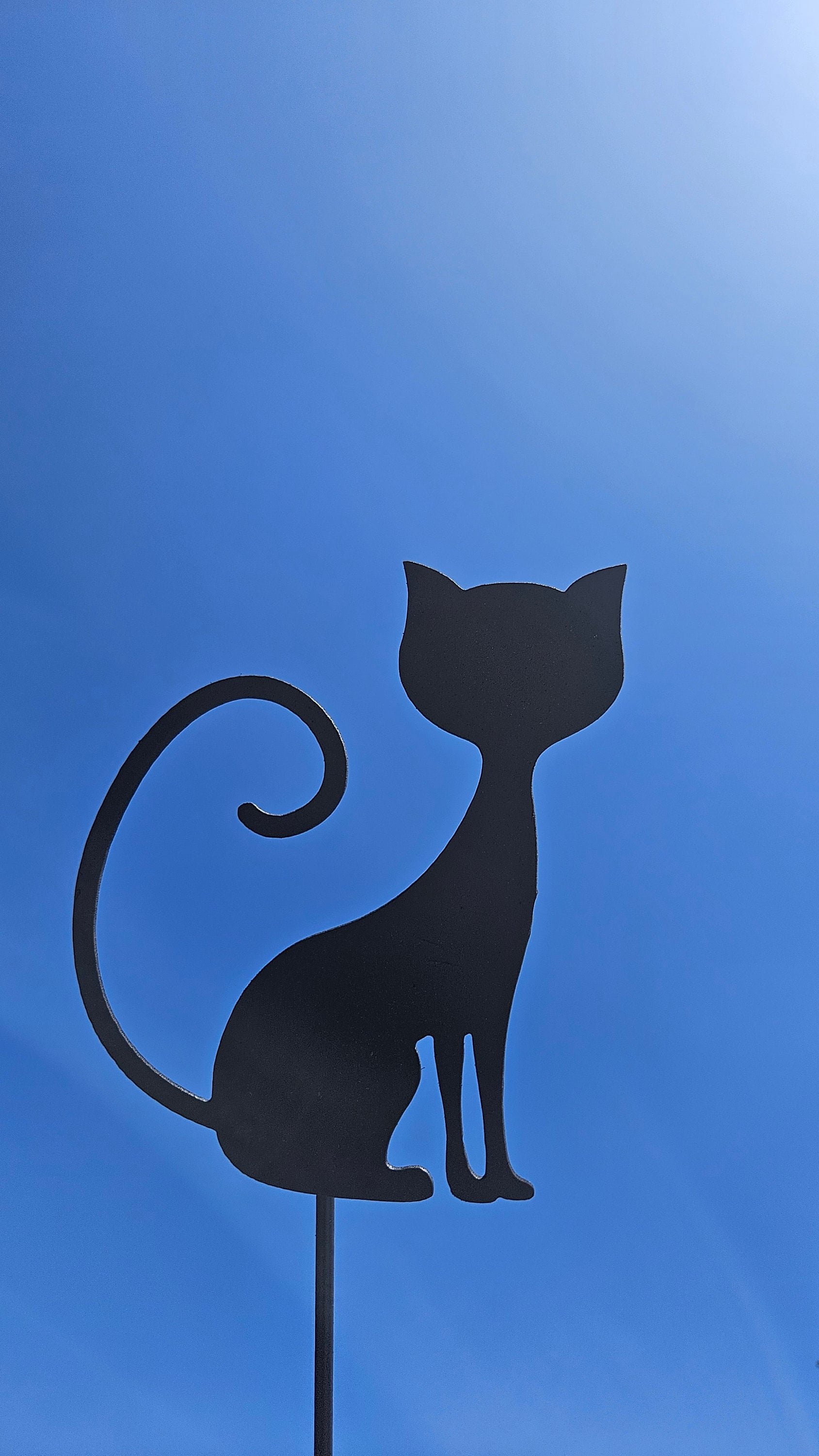 https://i.etsystatic.com/49842130/r/il/1e91f2/6237039120/il_fullxfull.6237039120_ewe0.jpg