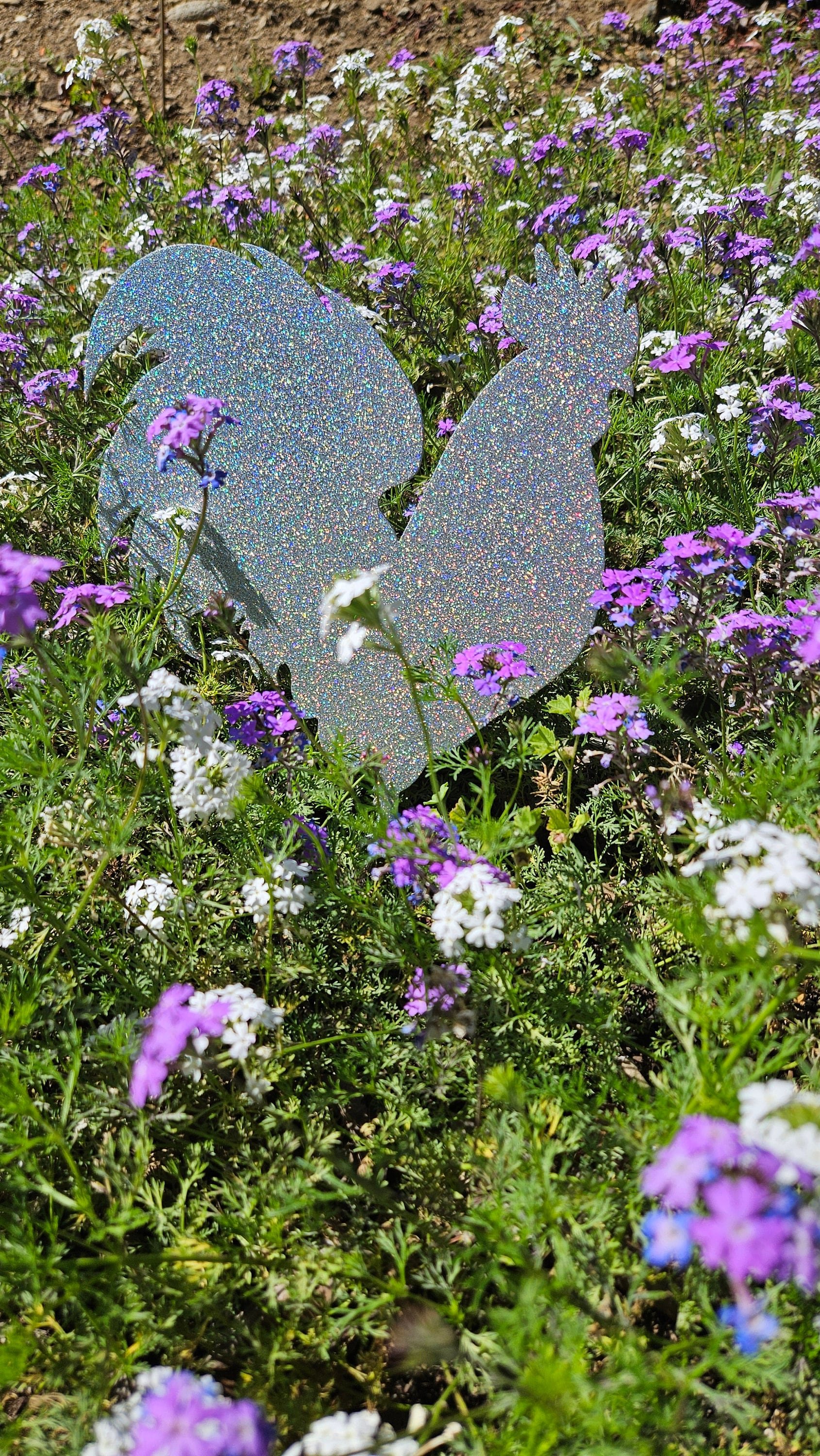 https://i.etsystatic.com/49842130/r/il/5c7858/5974875538/il_fullxfull.5974875538_6yt3.jpg