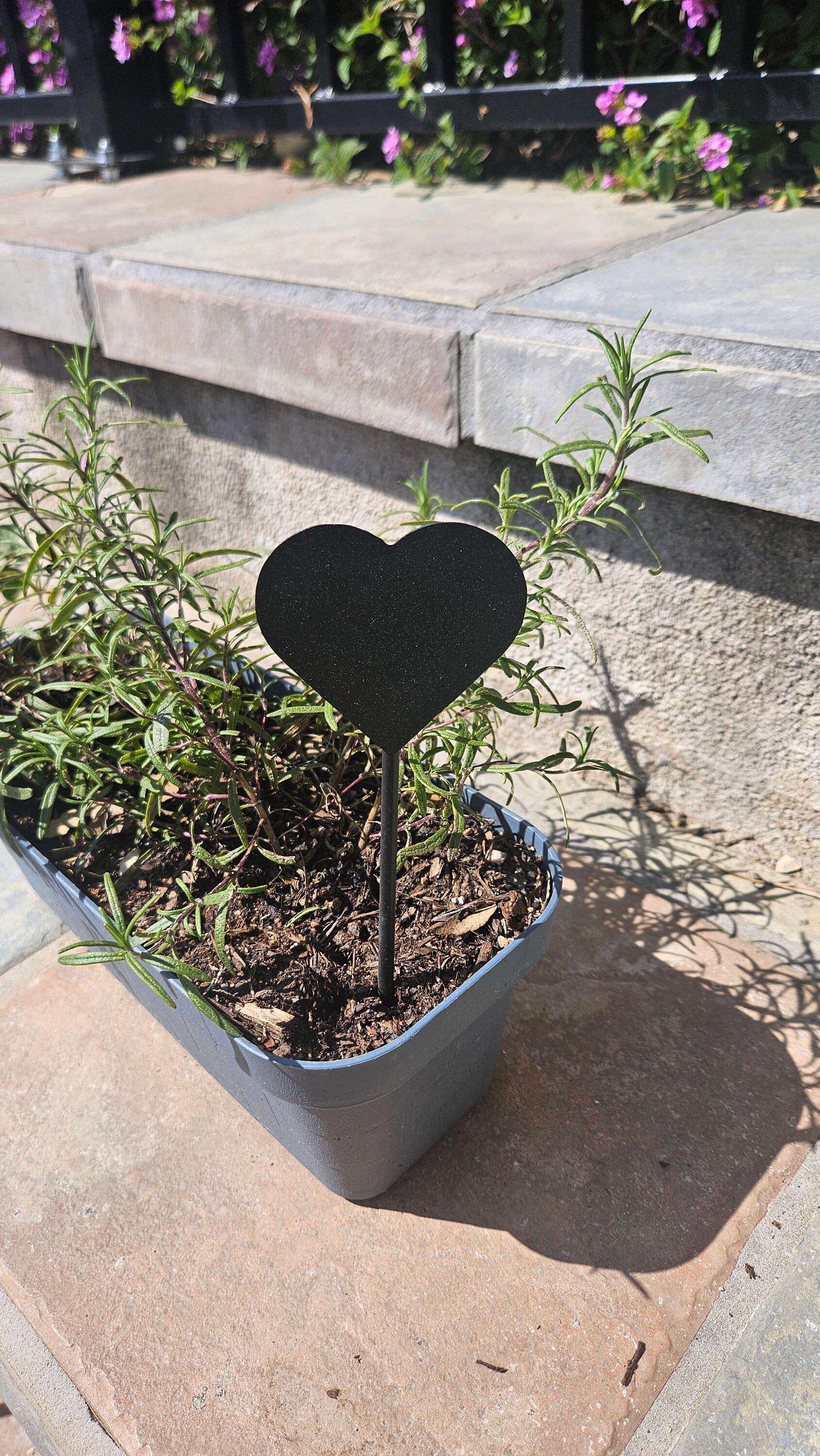 https://i.etsystatic.com/49842130/r/il/899b58/5977755973/il_fullxfull.5977755973_o9um.jpg