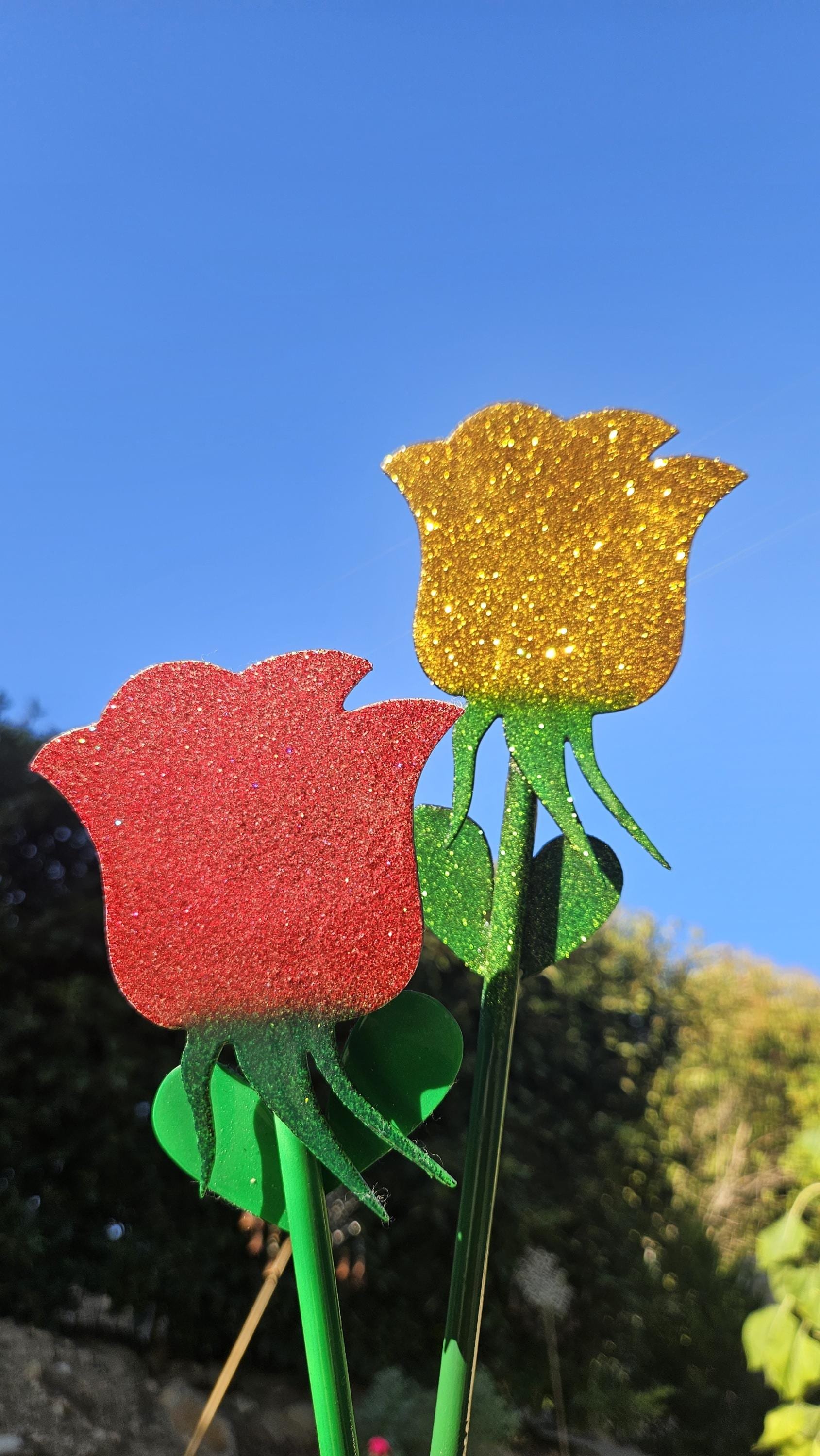 https://i.etsystatic.com/49842130/r/il/8719d4/6289590937/il_fullxfull.6289590937_ooa1.jpg