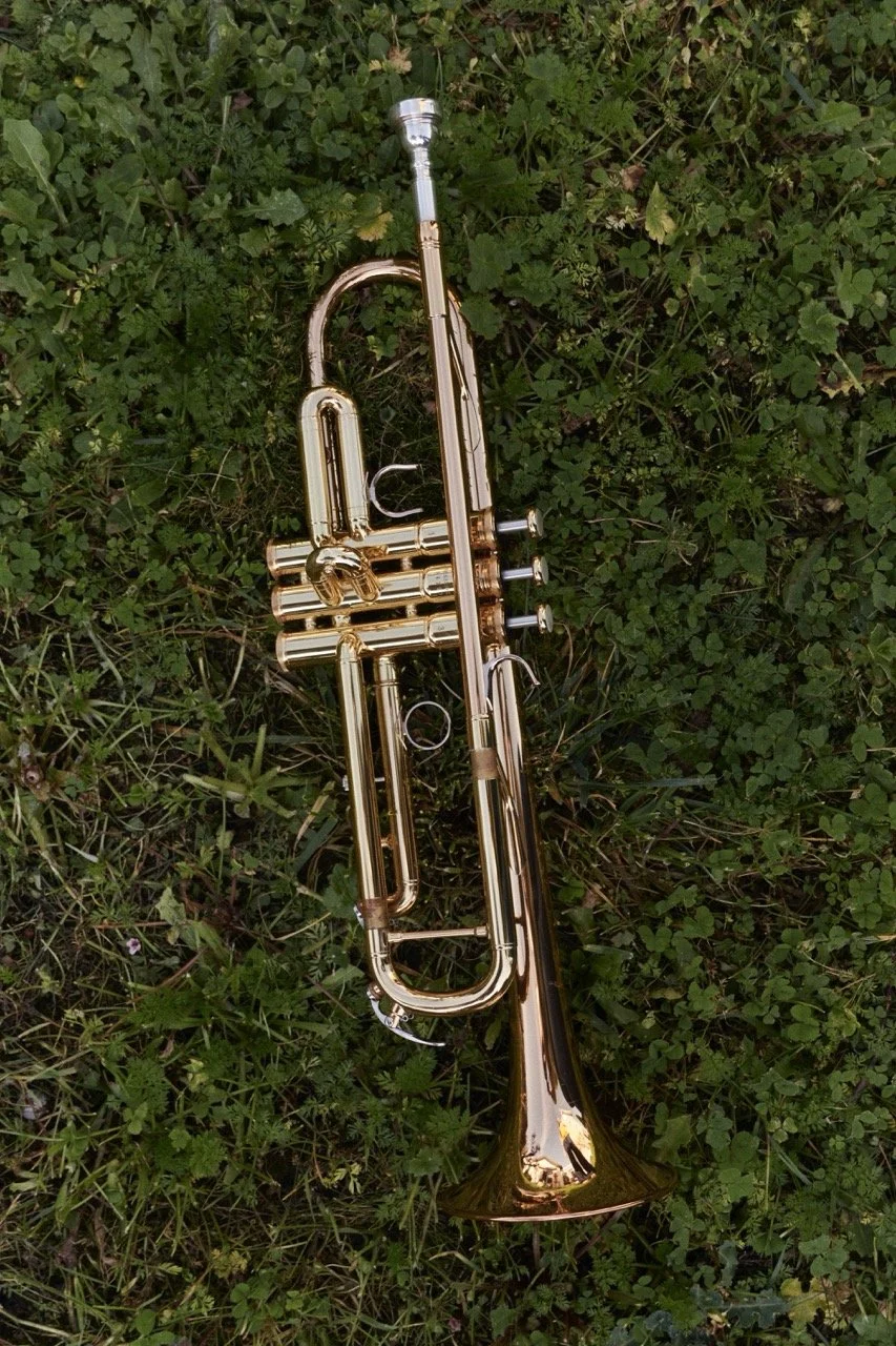 2026-ELLEN-TROMPETTE - Grande.jpeg