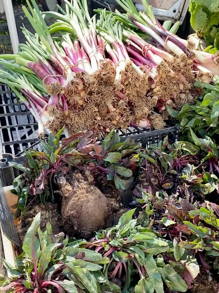 Some glimpses of early spring in my corner of Provence. From the first strawberries and asparagus appearing in the markets, to the return of brocantes, to my rose bushes blooming to my little cherry tree covered in little white blossoms, promising a 